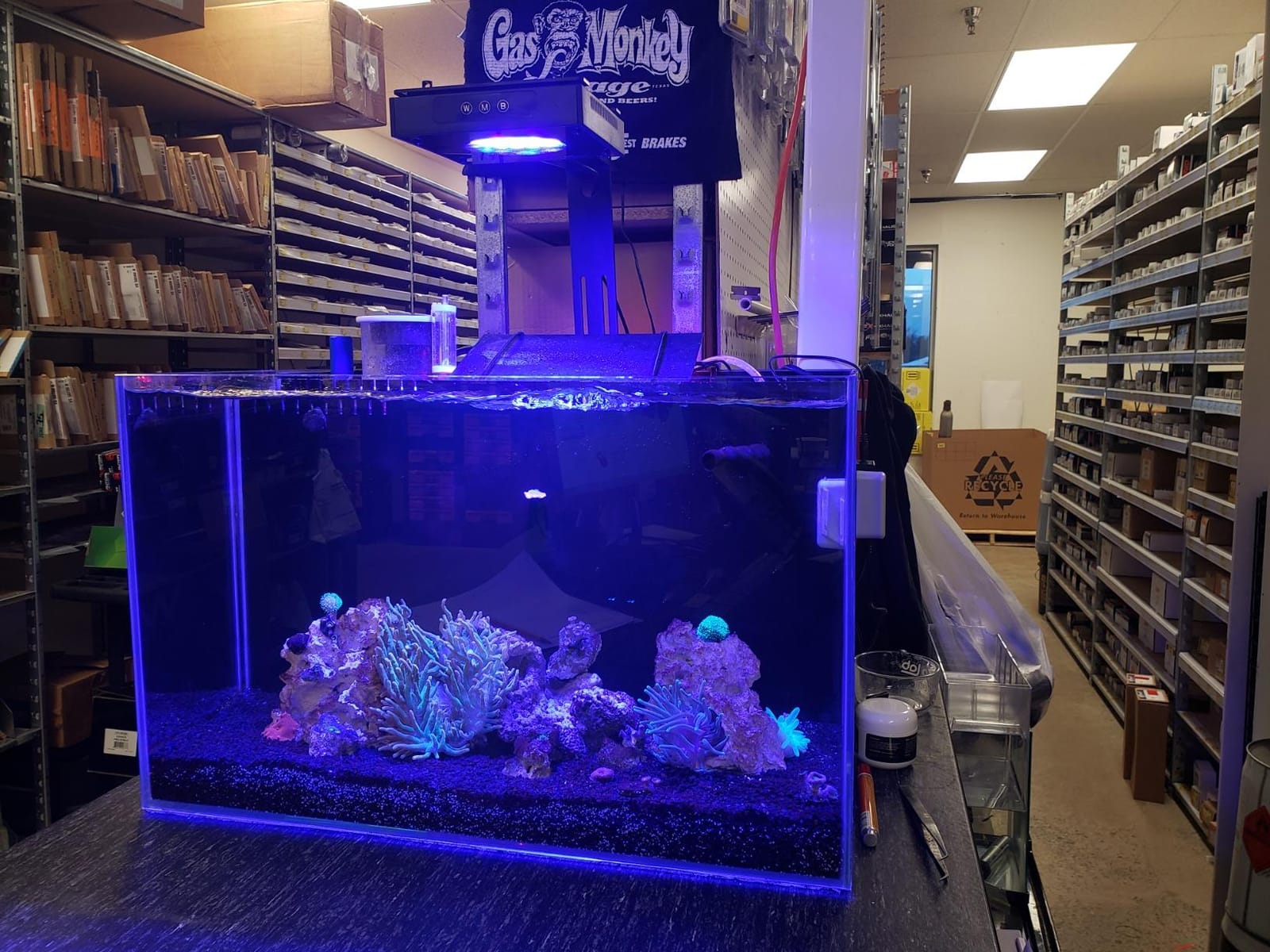 Empire USA - 24 Gallon All-in-One Aquarium Kit, Rimless Low Iron Glass AIO Saltwater & Freshwater Fish Tank, Complete Nano Reef Tank Setup for Home or Office customer photo 1