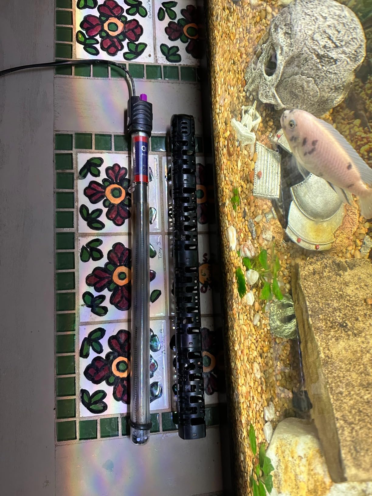 100W/300W/500W Aquarium Heater 500 Watt Fish Tank Heater Submersible Auto Thermostat Turtle Tank Heater 40-90 Gallon with Protective Sleeve and 3 Suckers customer photo 1
