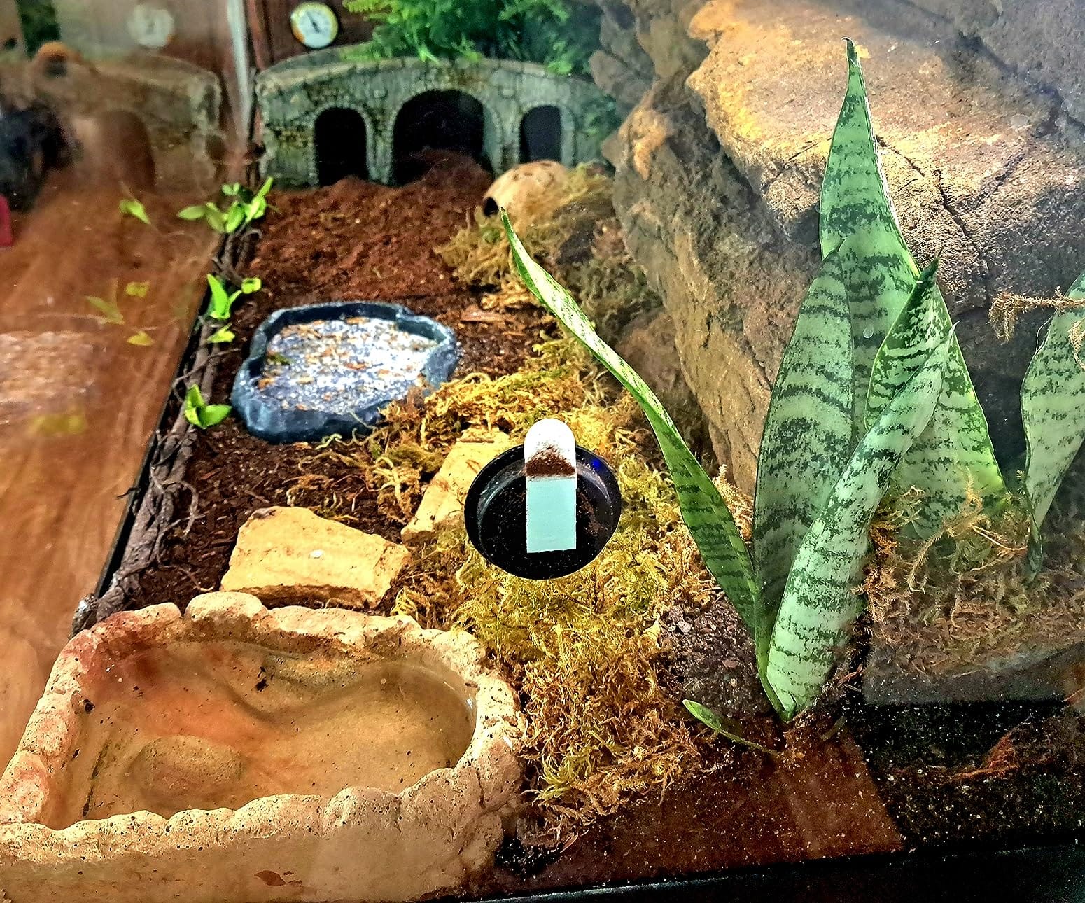 Tikaton Reptile Heat Pad - Adjustable Temperature Under Tank Heater for 10-20gal/30-40gal Tank, Terrarium Heat Mat for Turtle/Snake/Lizard/Frog/Spider/Plant Box customer photo 1