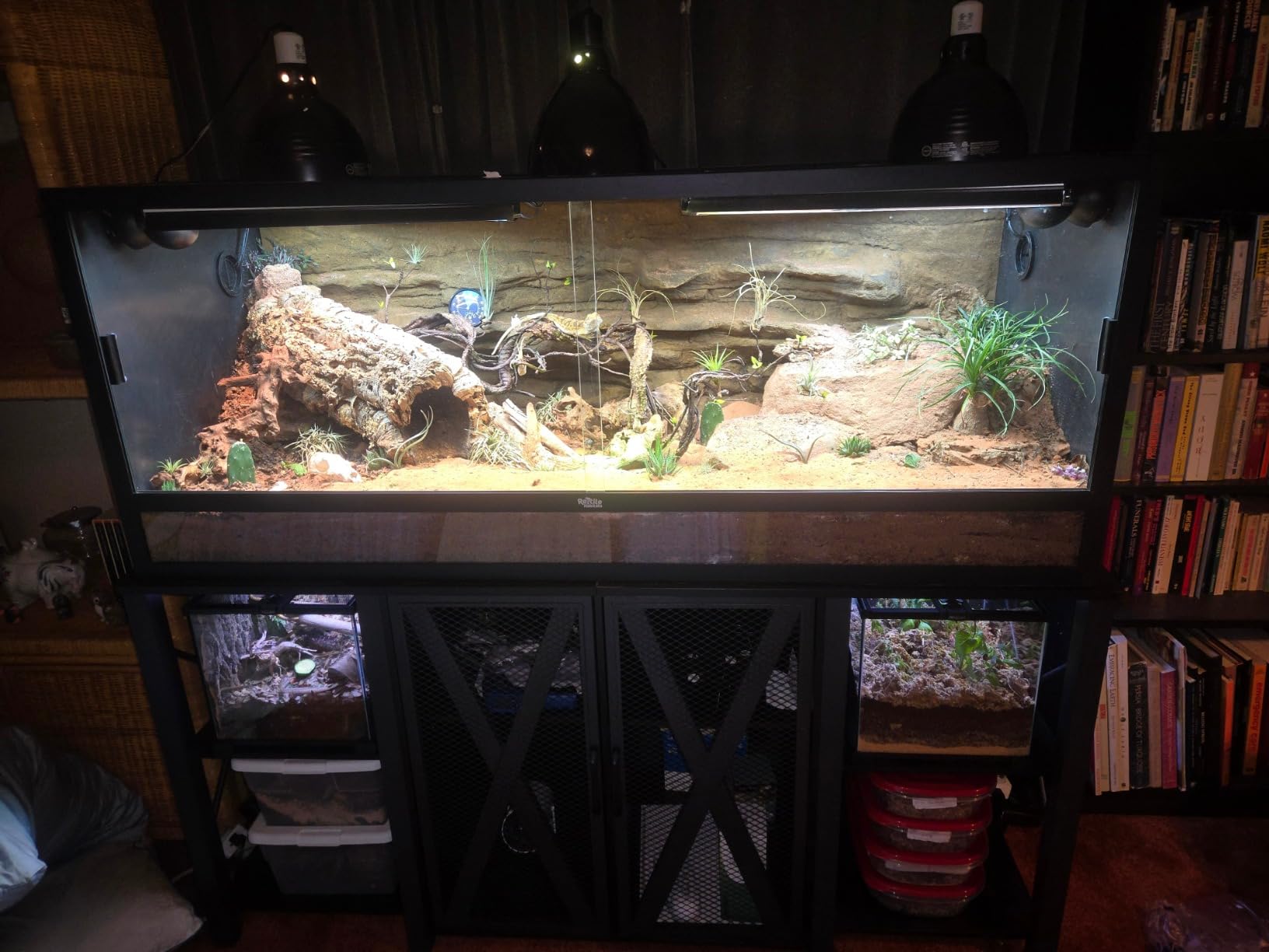 REPTIZOO Small Glass Tank 8 Gallon, Top Opening Terrarium 12