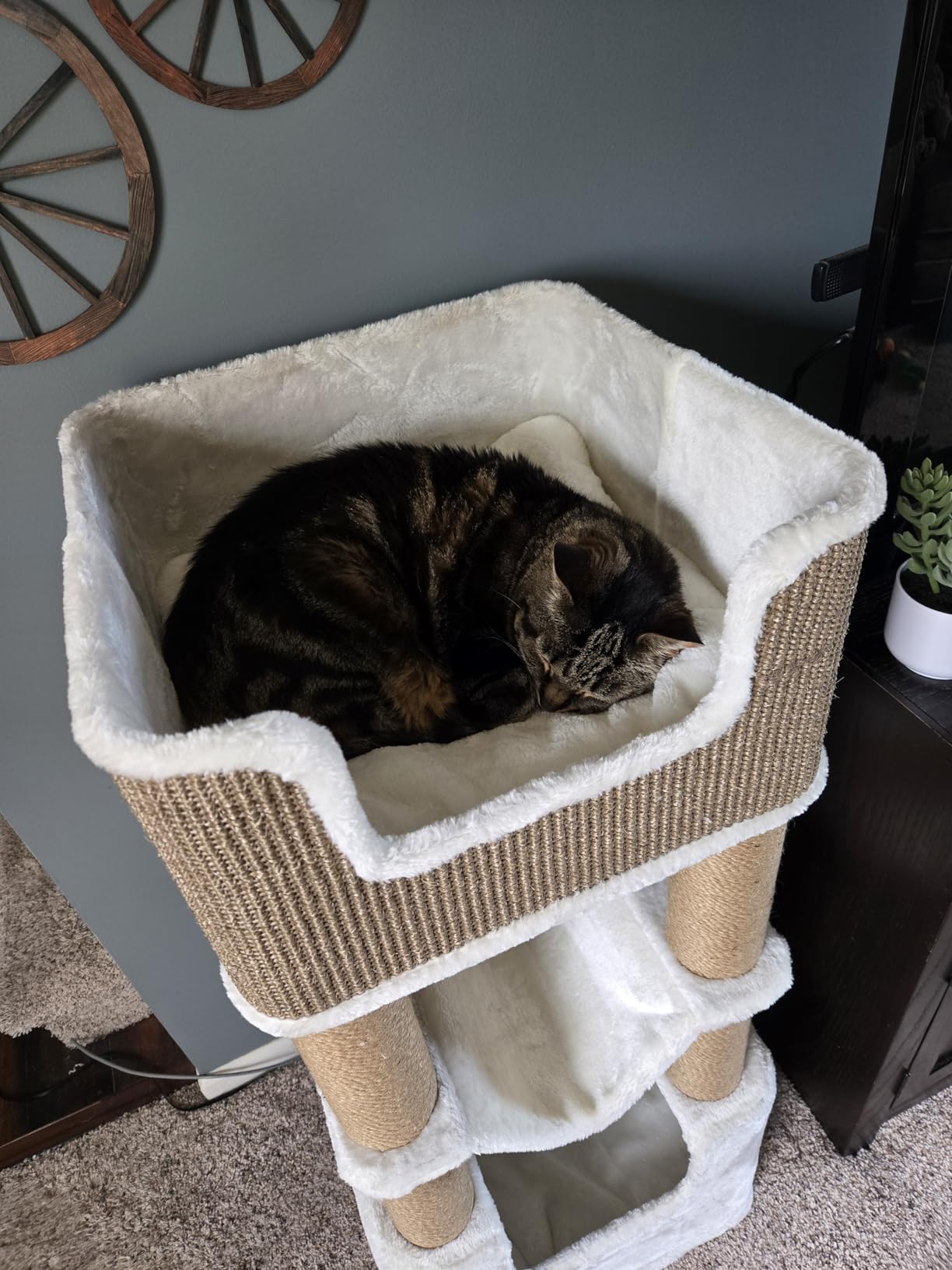 Trixie Lucano 43.3-in XXL Cat Tree, Indoor Cat Furniture with Jute Scratching Posts, Sisal and Plush Covered Condo, Dangling Interactive Toys, Gray customer photo 2