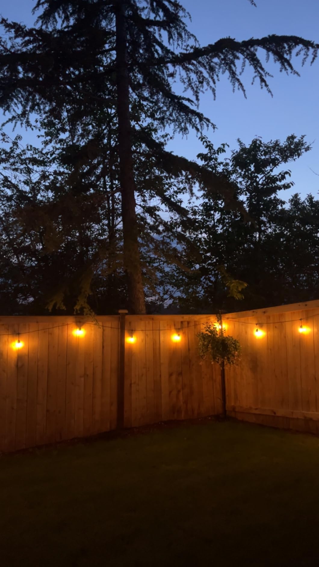 Svater Outdoor String Lights 105 FT Outside Waterproof Commercial Grade ETL customer photo 1