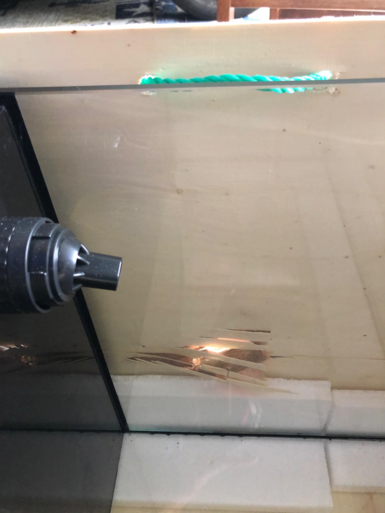 LANDEN EzFlux 35 Rimless 10 Gallon Rear Filtration Tank, Pump Included customer photo 1