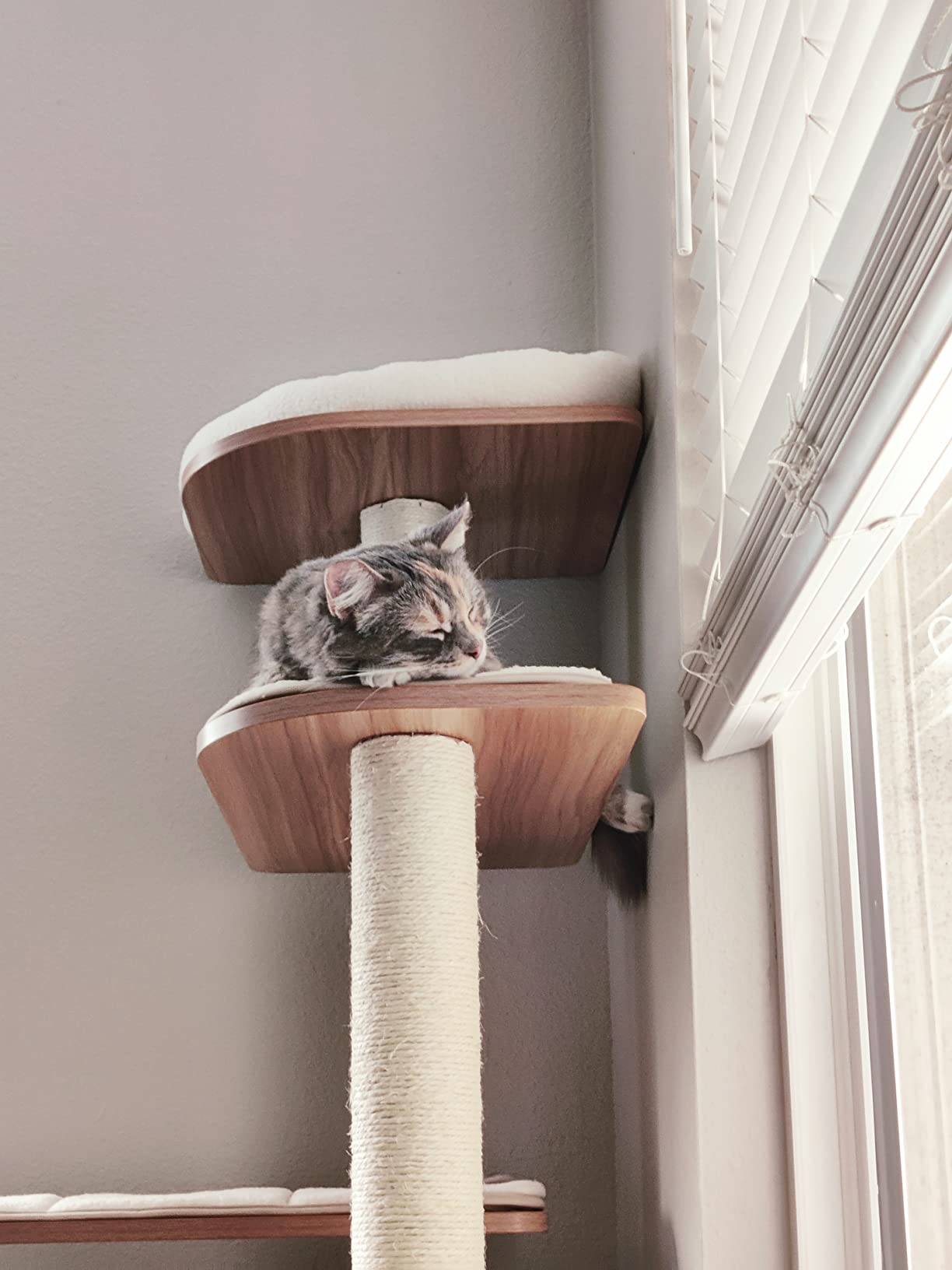 Tangkula 69 Inch Wooden Tall Cat Tree customer photo 1
