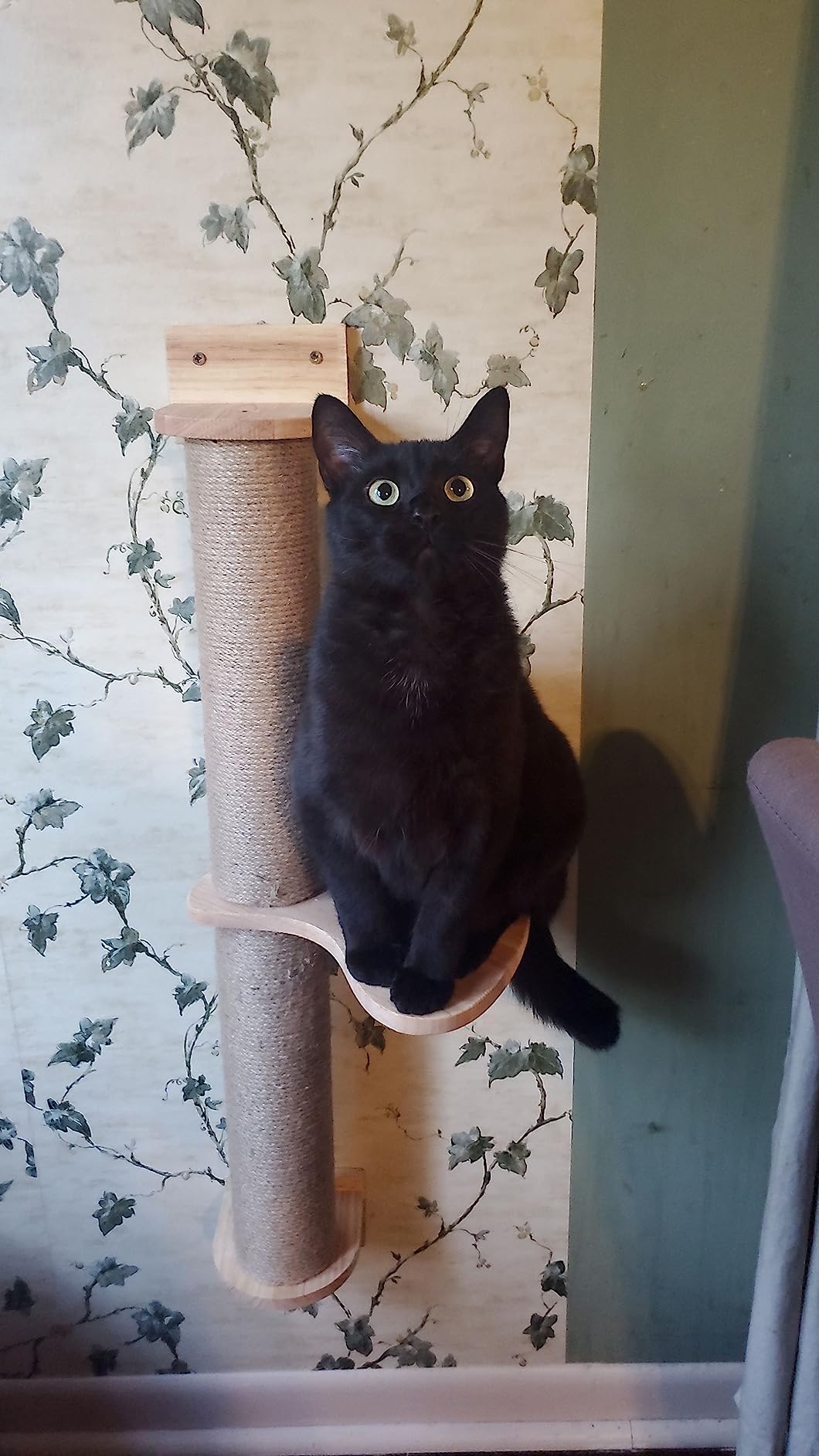 FUKUMARU Cat Activity Tree with Scratching Posts, Wall Mounted Jute Scratcher Pine Hammock customer photo 2