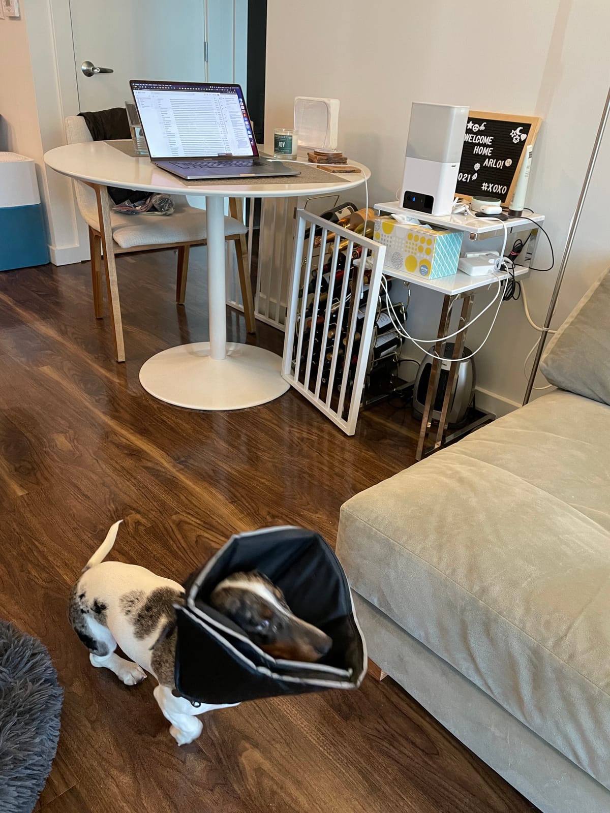 Petcube Bites 2 Lite - WiFi Pet Camera with Treat Dispenser & App customer photo 2