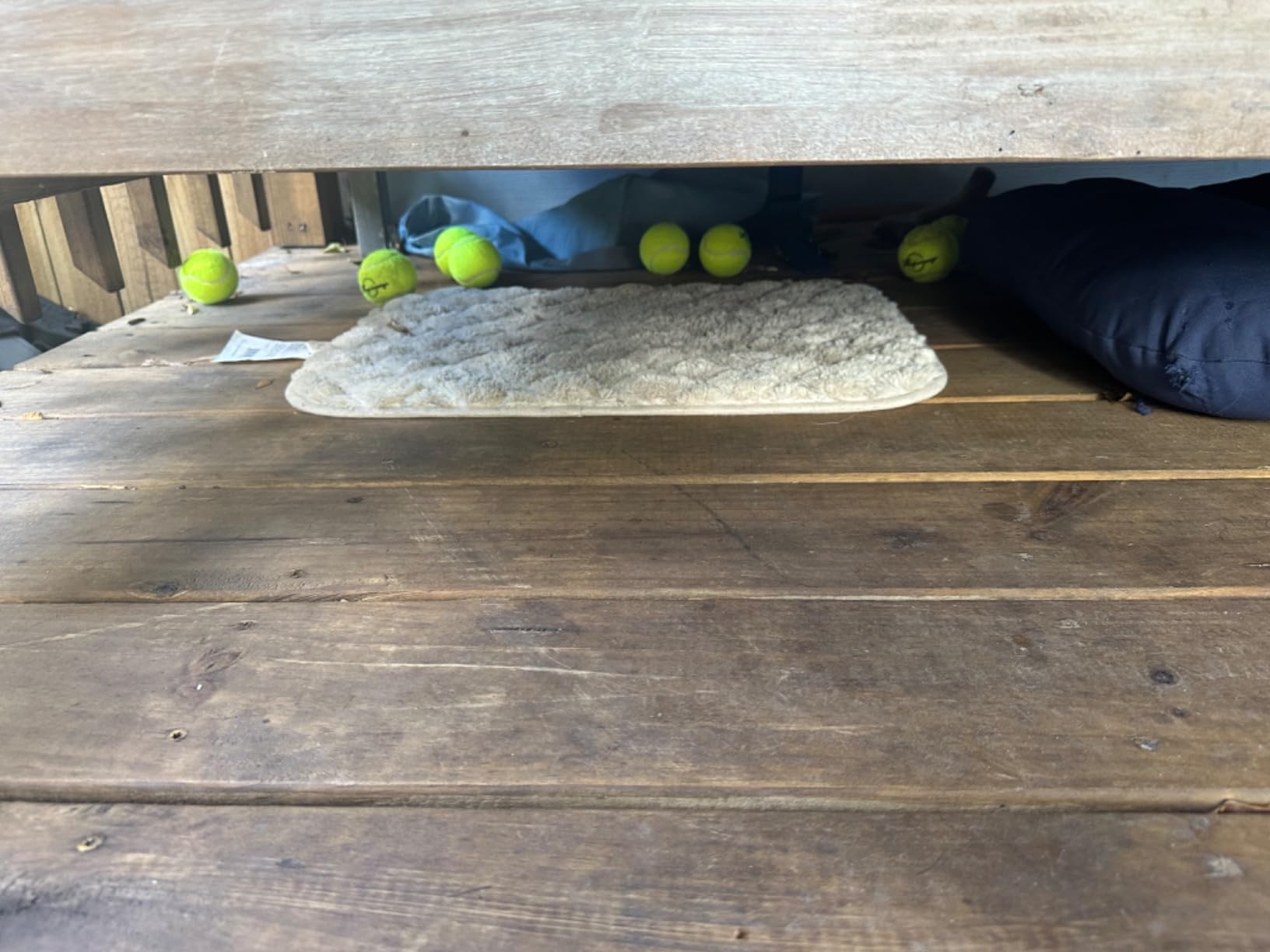 Magicorange Tennis Ball for Training & Pet Playing customer photo 1