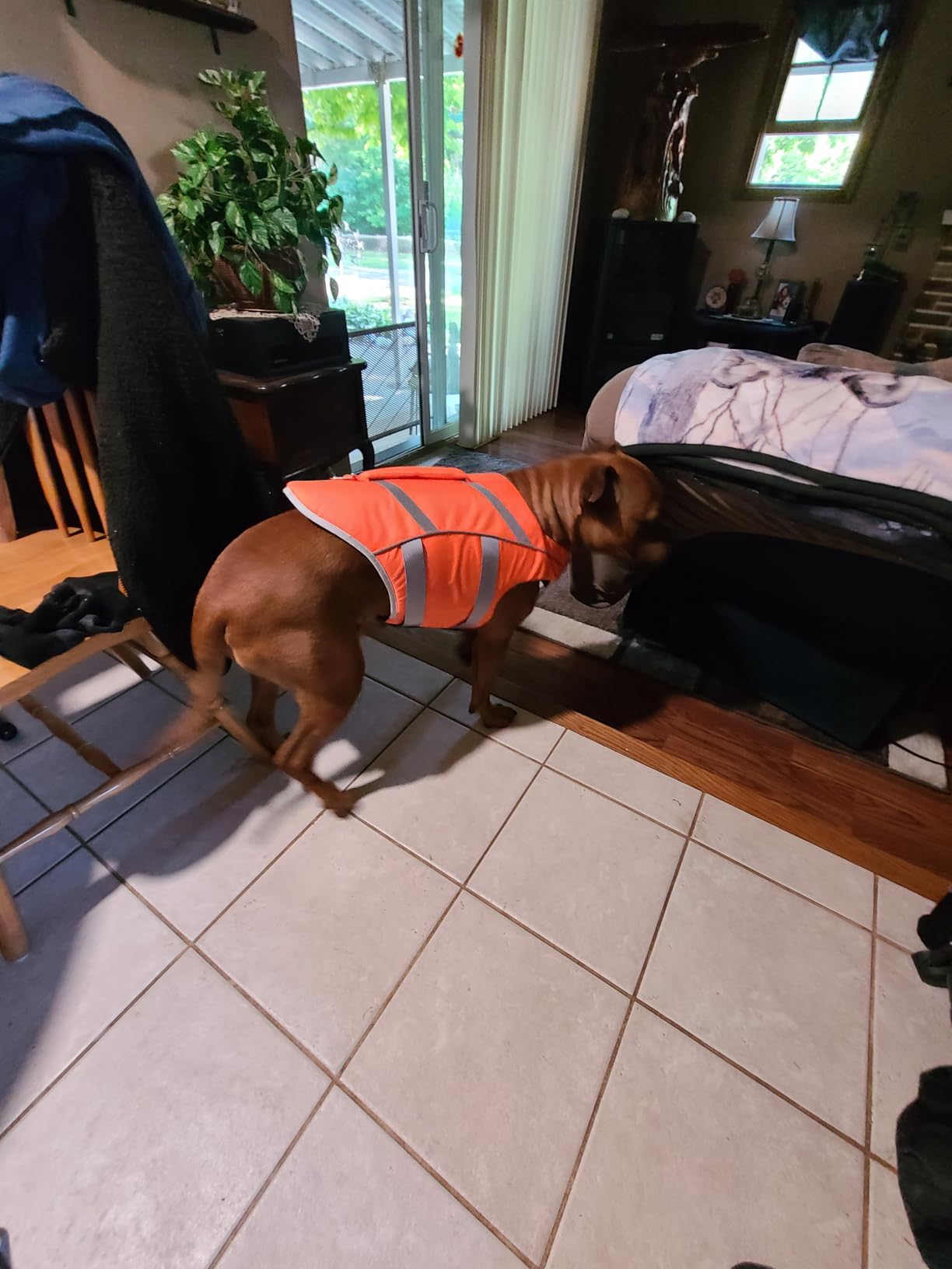 Kuoser Reflective Dog Life Jacket, Dog Life Vest for Swimming Boating customer photo 1