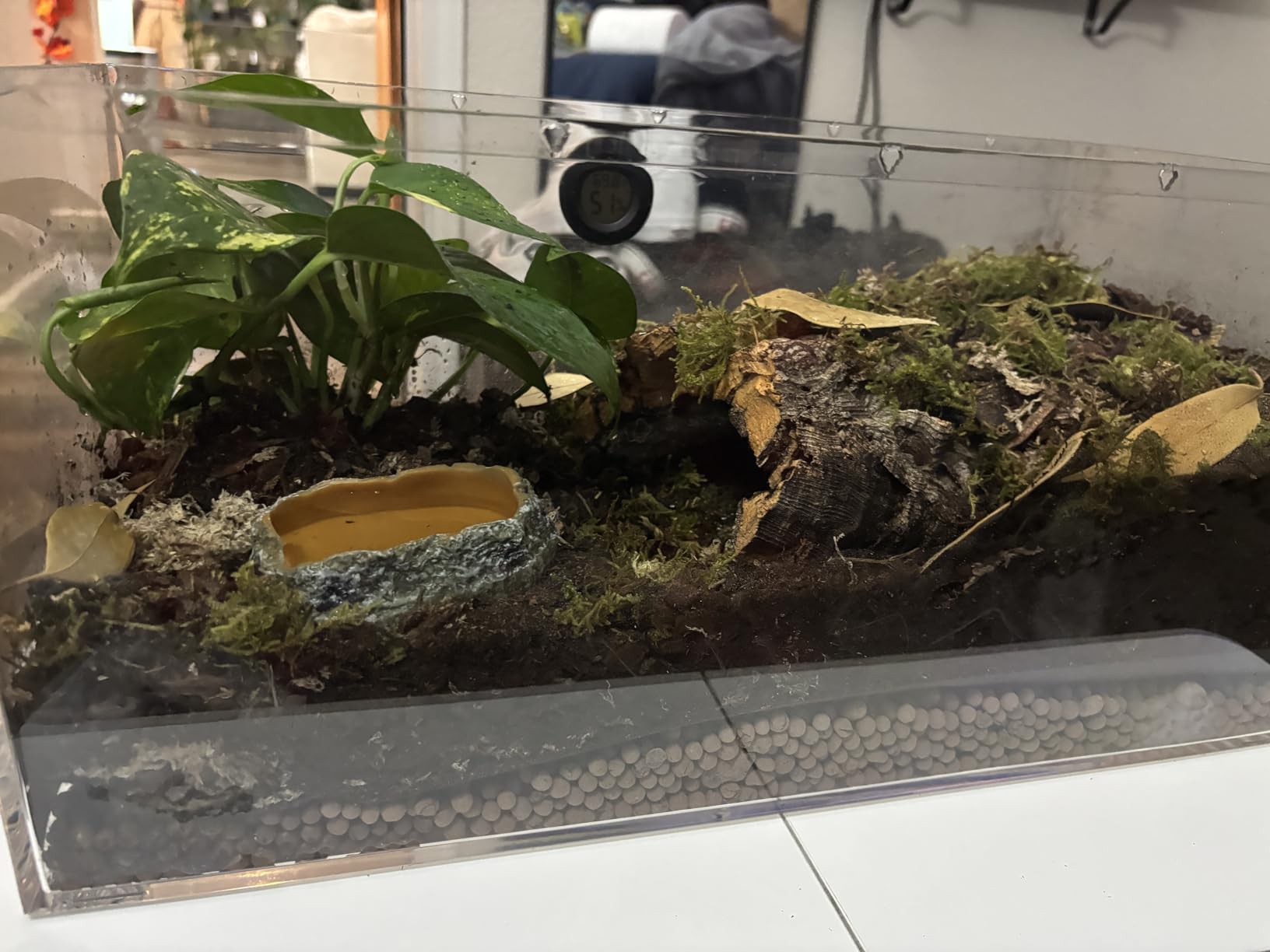 Reptile Growth Reptile Terrarium,10 Gallon Reptile Tank 20