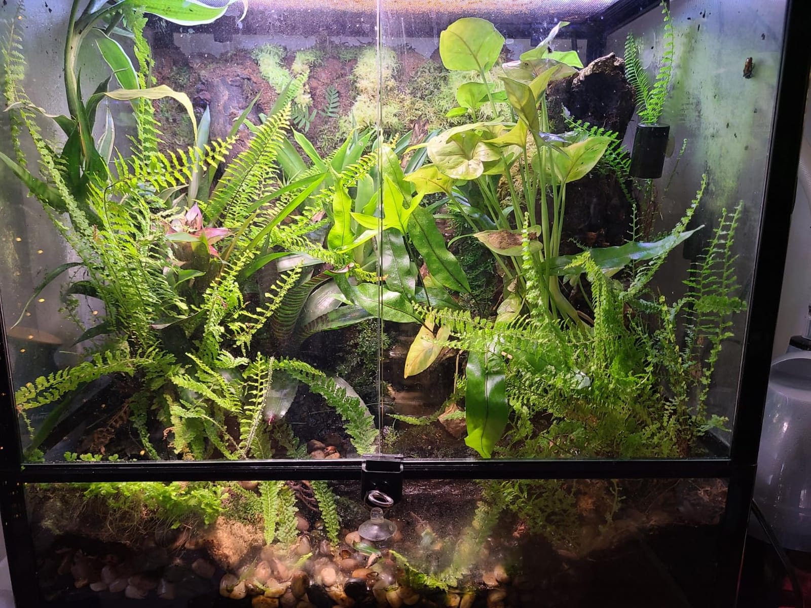 REPTIZOO 45 Gallon Glass Reptile Terrarium 24