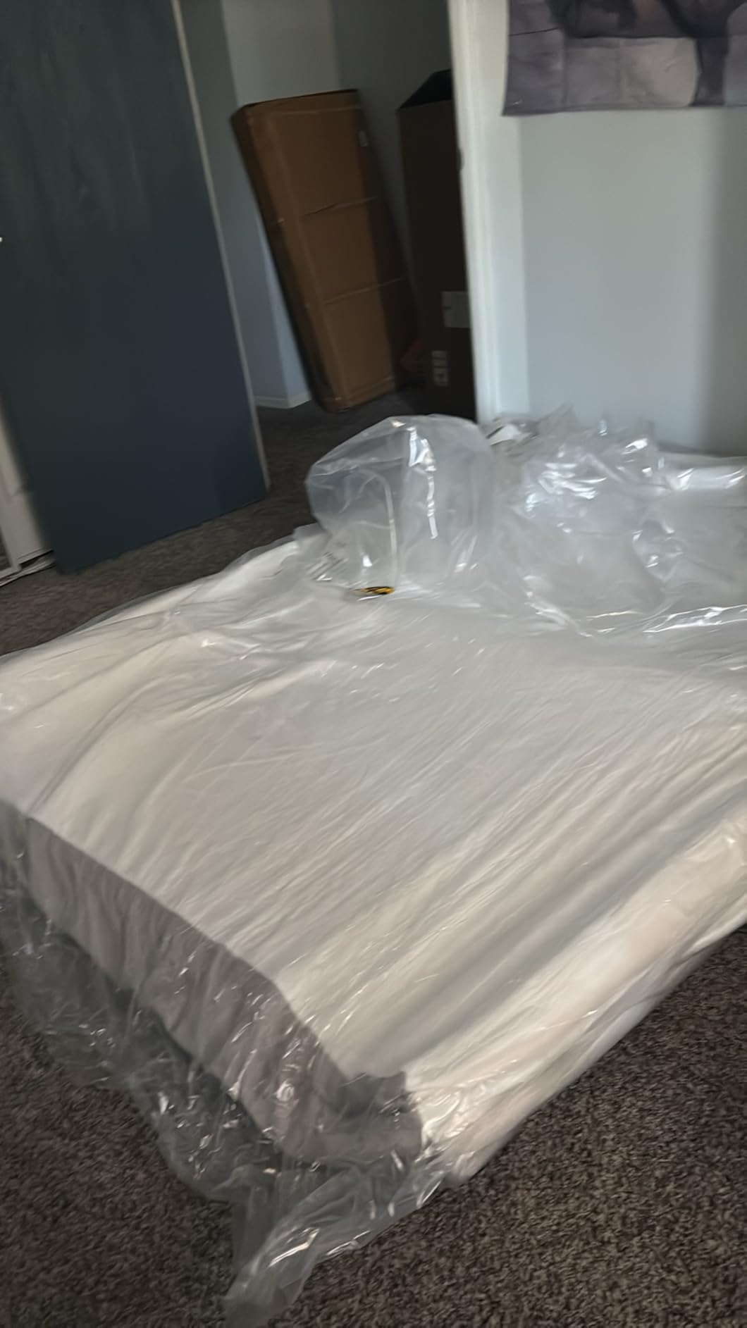 Amazon Basics Breathable Memory Foam Mattress, Soft Plush Feel, 10 Inch, Queen, White/Grey customer photo 1