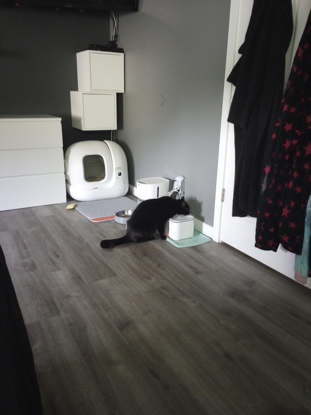 PETKIT EVERSWEET Solo 2 Cat Water Fountain Ultra Quiet Wireless Pump customer photo 2