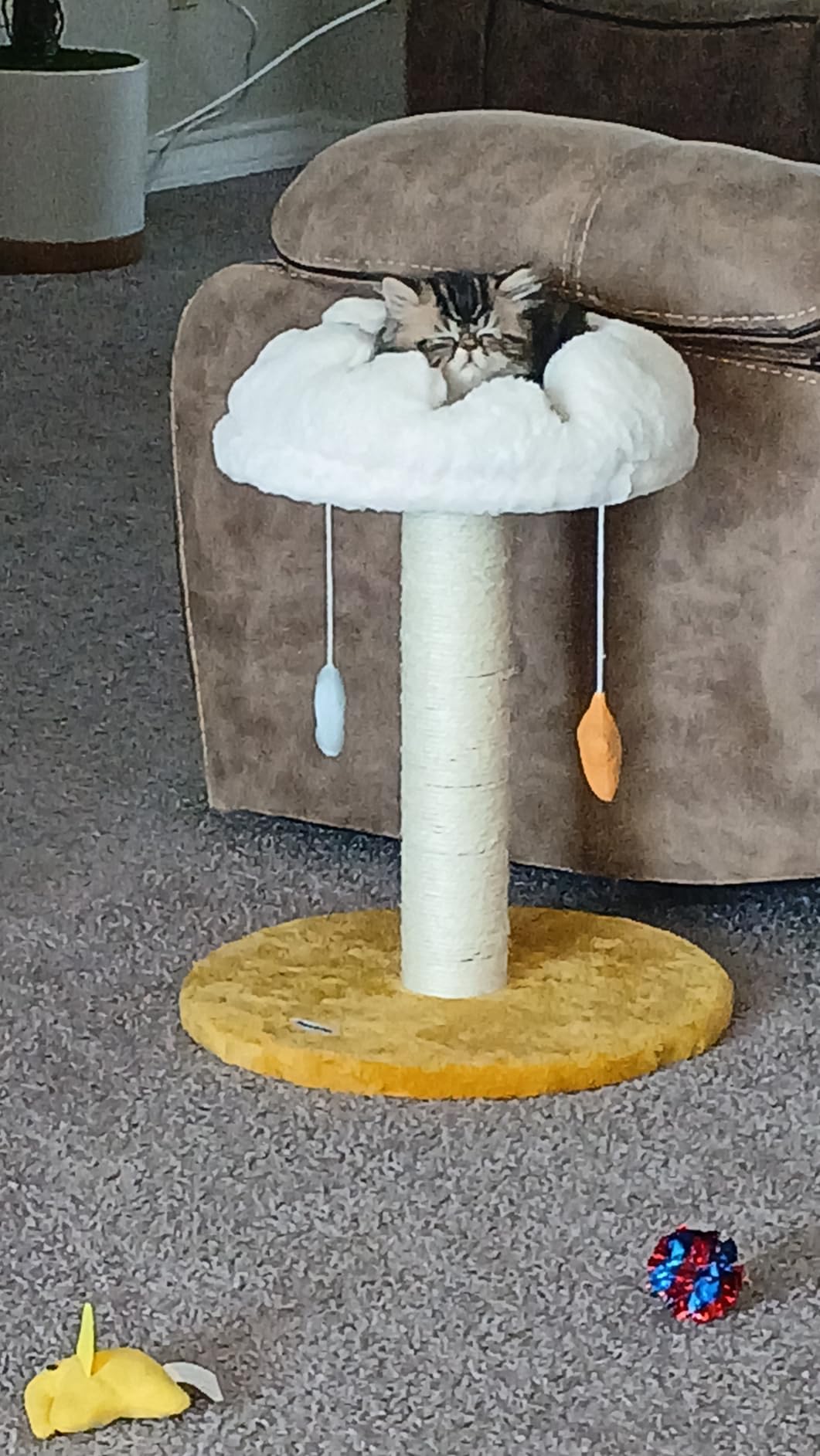 Happi N Pets Cloud Cat Tree, Cat Scratching Post with Soft Bed for Kitten customer photo 1