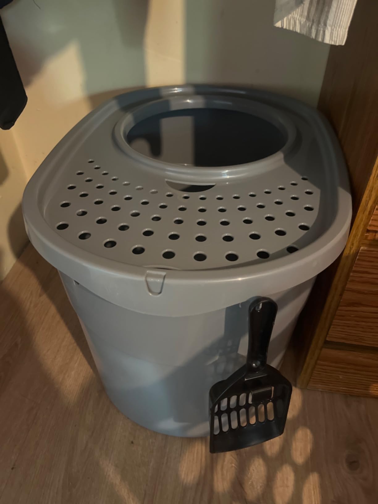 Amazon Basics Large Cat Litter Box with High Sides, Top Entry, Odor Control, Includes Scoop, 20.5 x 14.75 x 14.38 inches, Grey customer photo 1