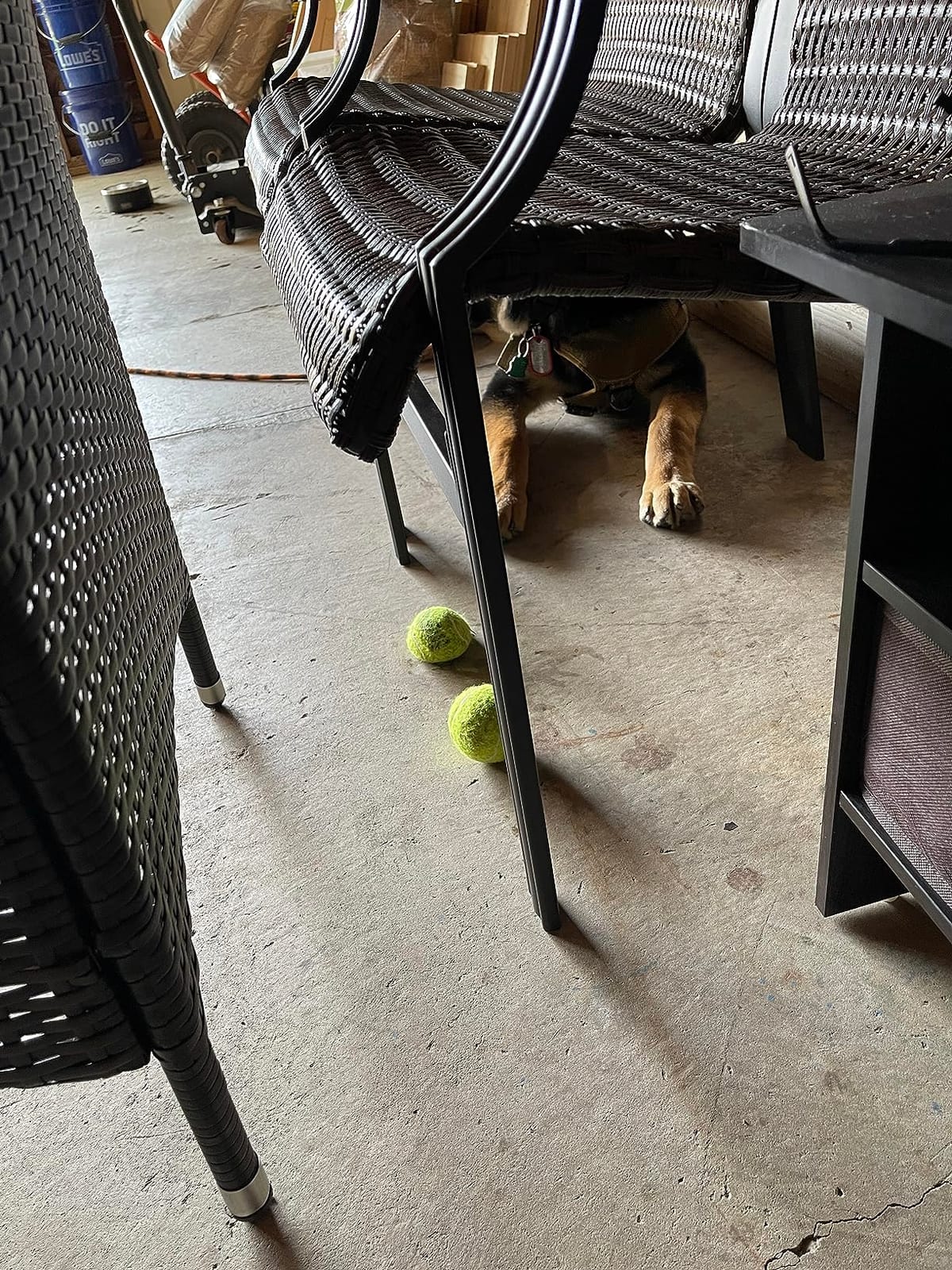 VIV Advanced Tennis Balls Bulk, 30/50/100+ Pack Practice Balls Pressure Bouncing 53in High Durable, Official Size Pet Dog Playing Ball, Good for Tennis Training Machine & Kids Play on All Courts customer photo 1