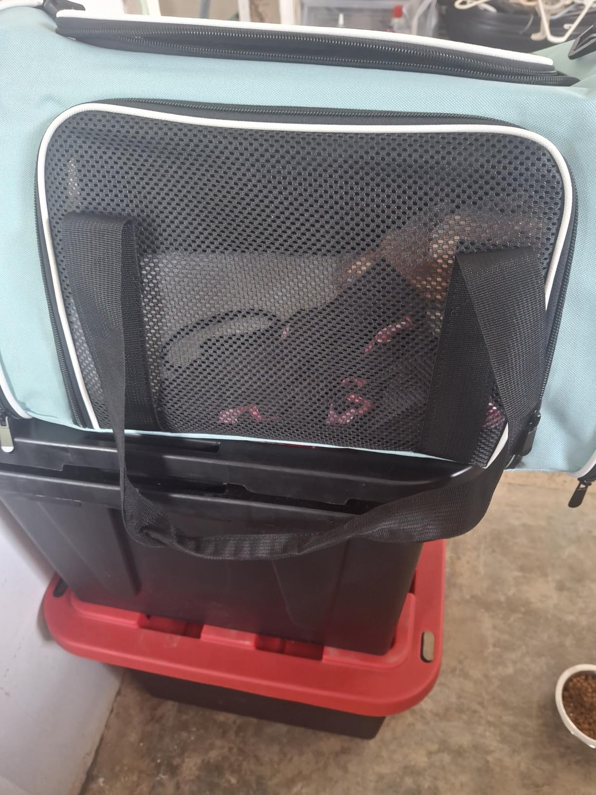 Carriers Soft-Sided Large Pet Carrier for Cats Dogs Small Animals Up to 25Lbs,Top Load Carrier,Ventilated Design,Portable Cat Carrier Airline Approved(X-Large,Green) customer photo 1