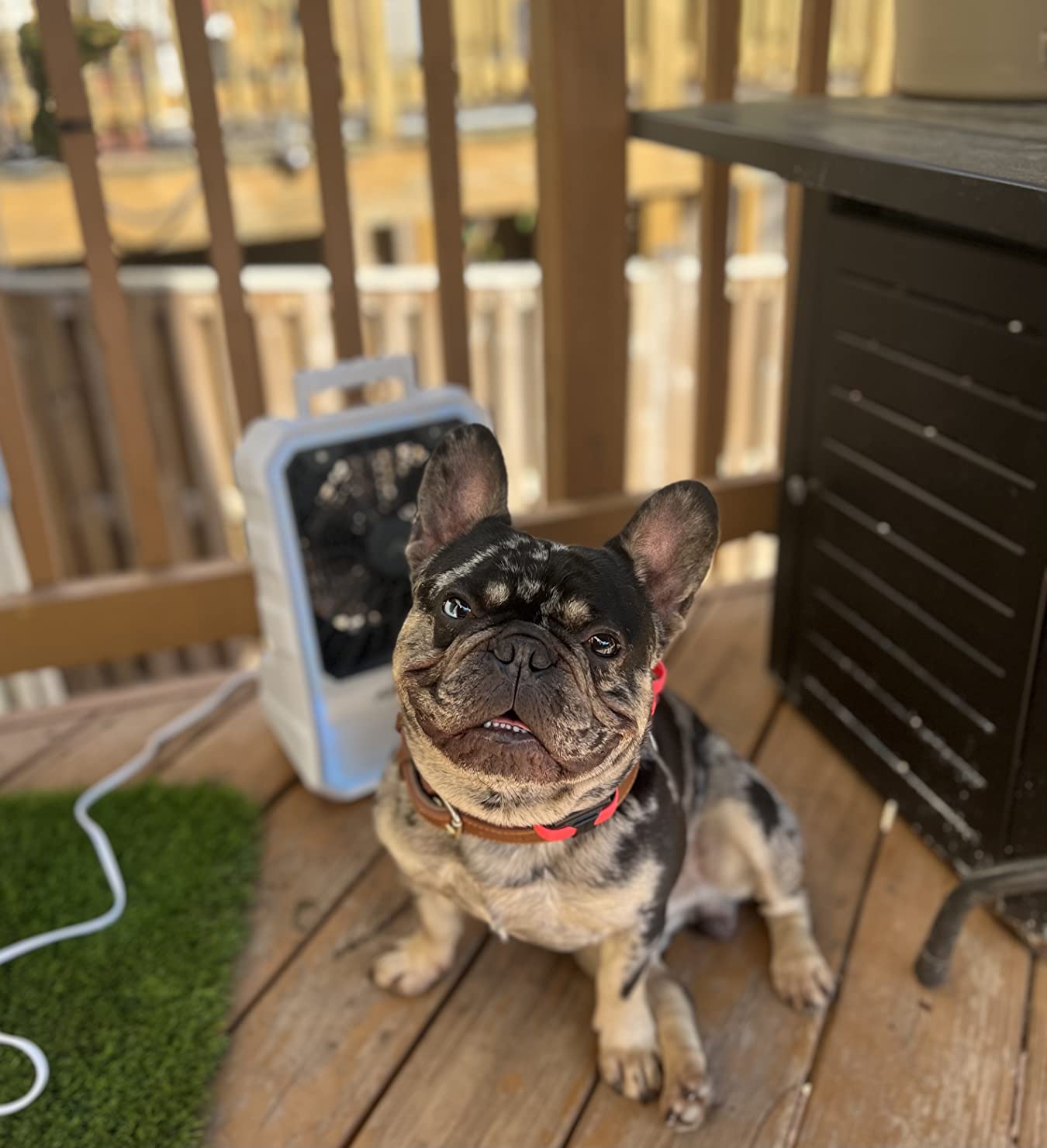 Arctic Air Outdoor Evaporative Cooler, Portable & Ultra-Quiet Air Cooler with 4 Fan Speeds, USB Rechargeable, 6-Hour Battery Life, Great for the Beach, Pool, Deck, Garden & More,White customer photo 2
