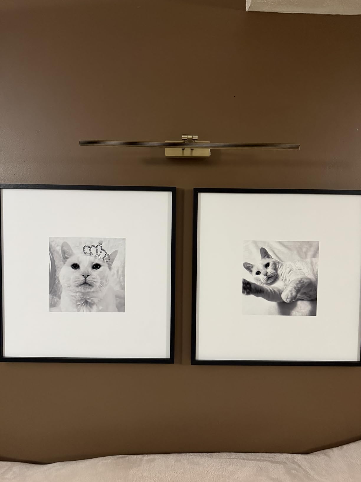 HEAGEERO Picture Lights for Wall,20in Gallery Light,5000mAh Art Light customer photo 1