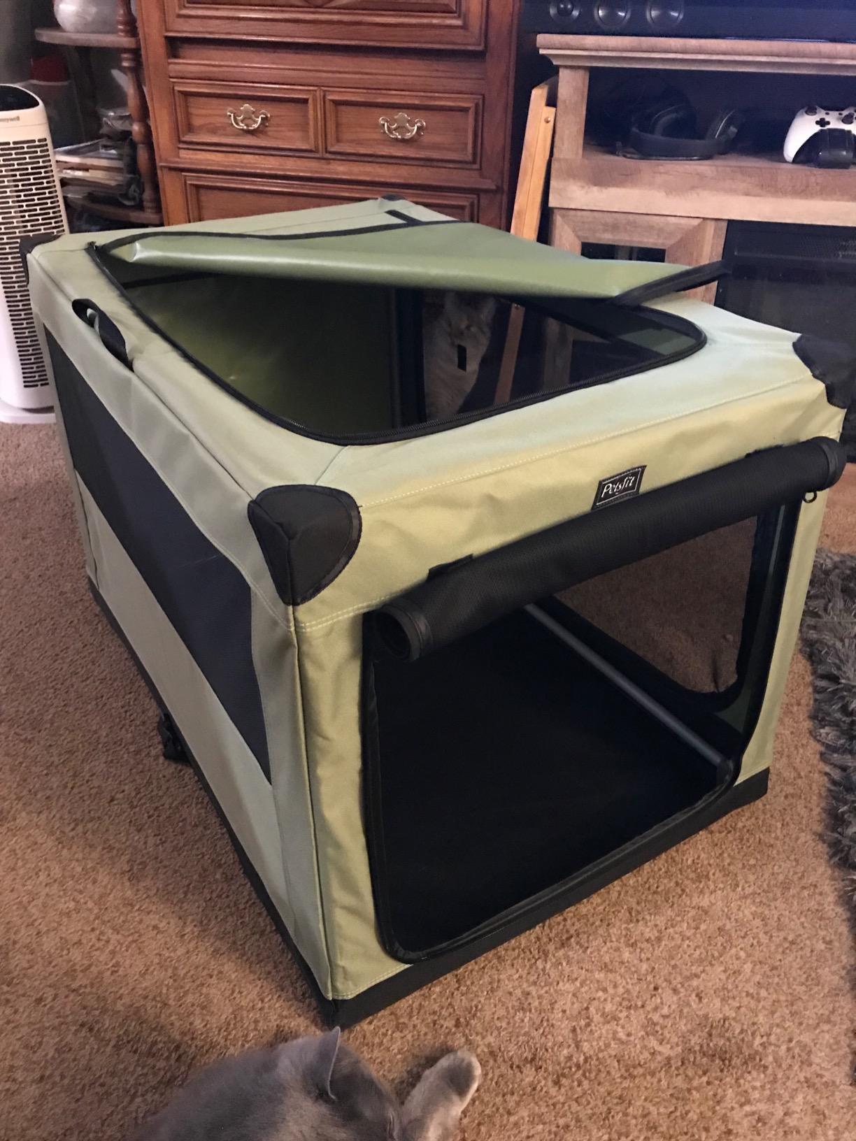 PETSFIT 26