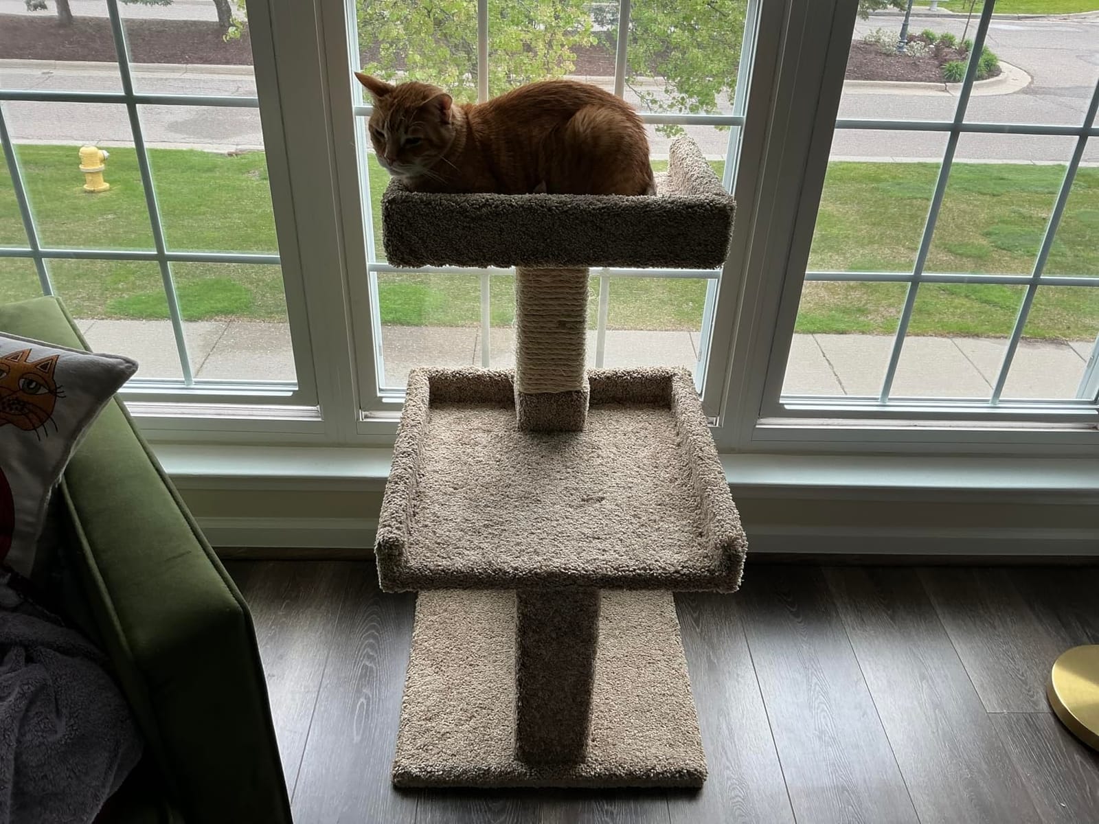 New Cat Condos Spacious Cat Perch for Large Cats customer photo 1