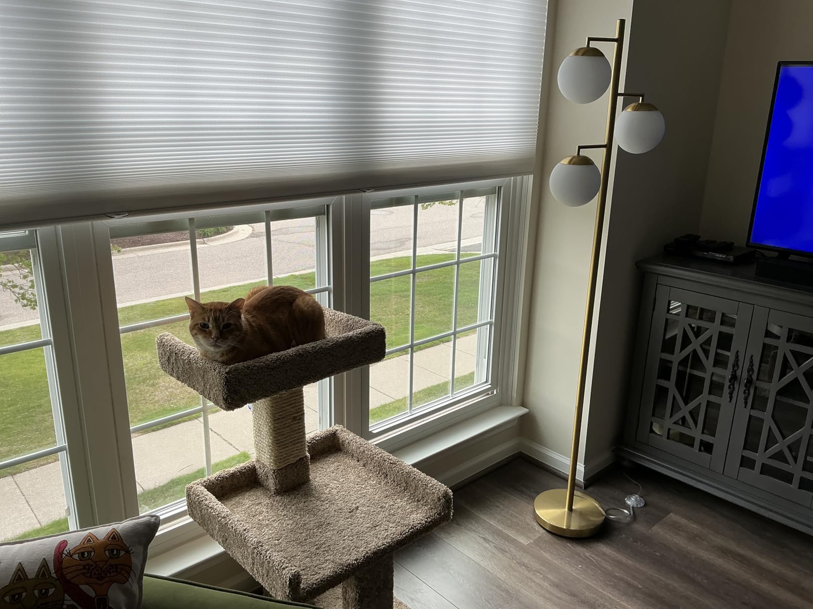 New Cat Condos Spacious Cat Perch for Large Cats customer photo 2