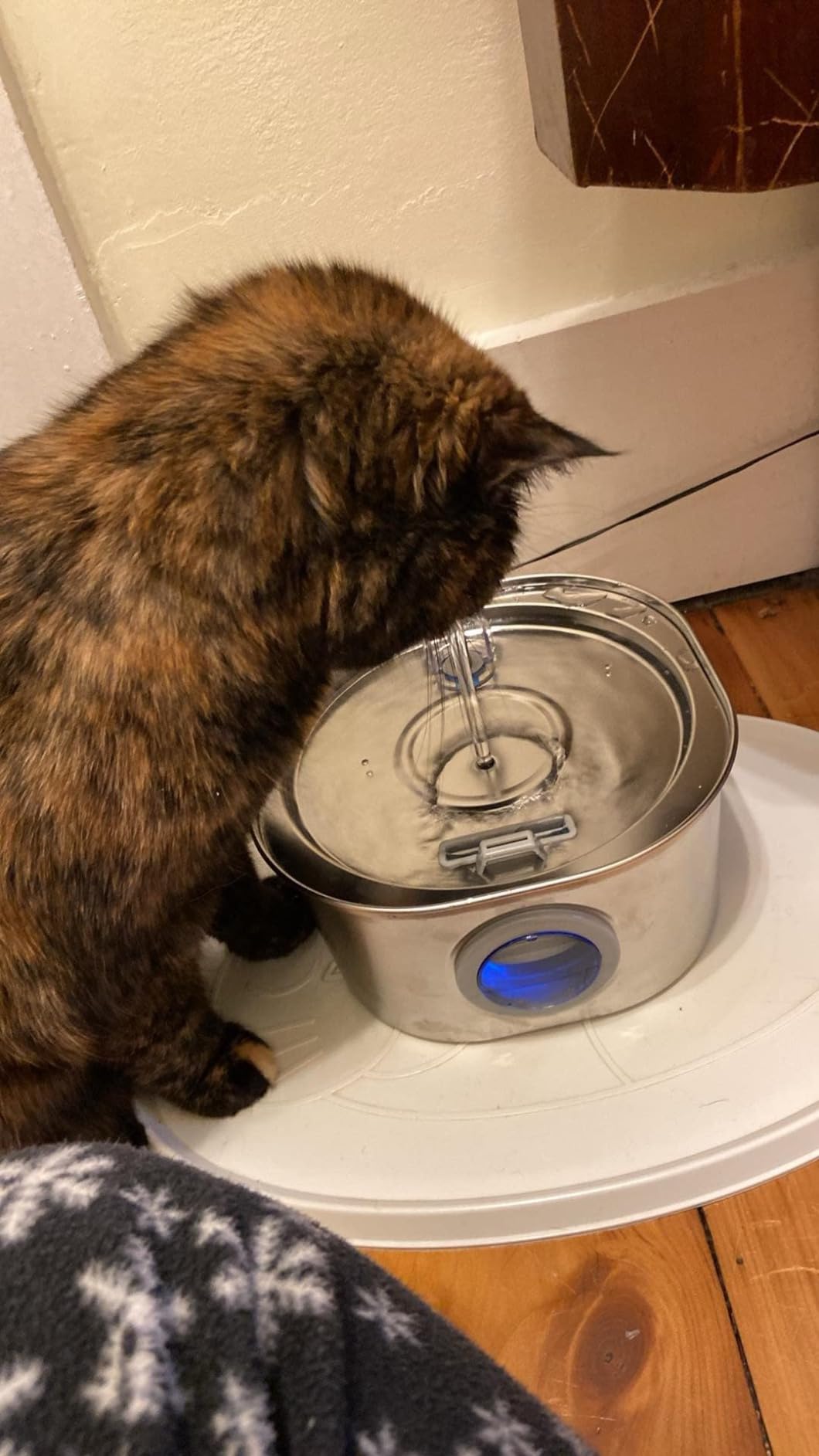PEKTACO Cat Water Fountain, 3.2L/108oz Stainless Steel Pet Water Fountain customer photo 2