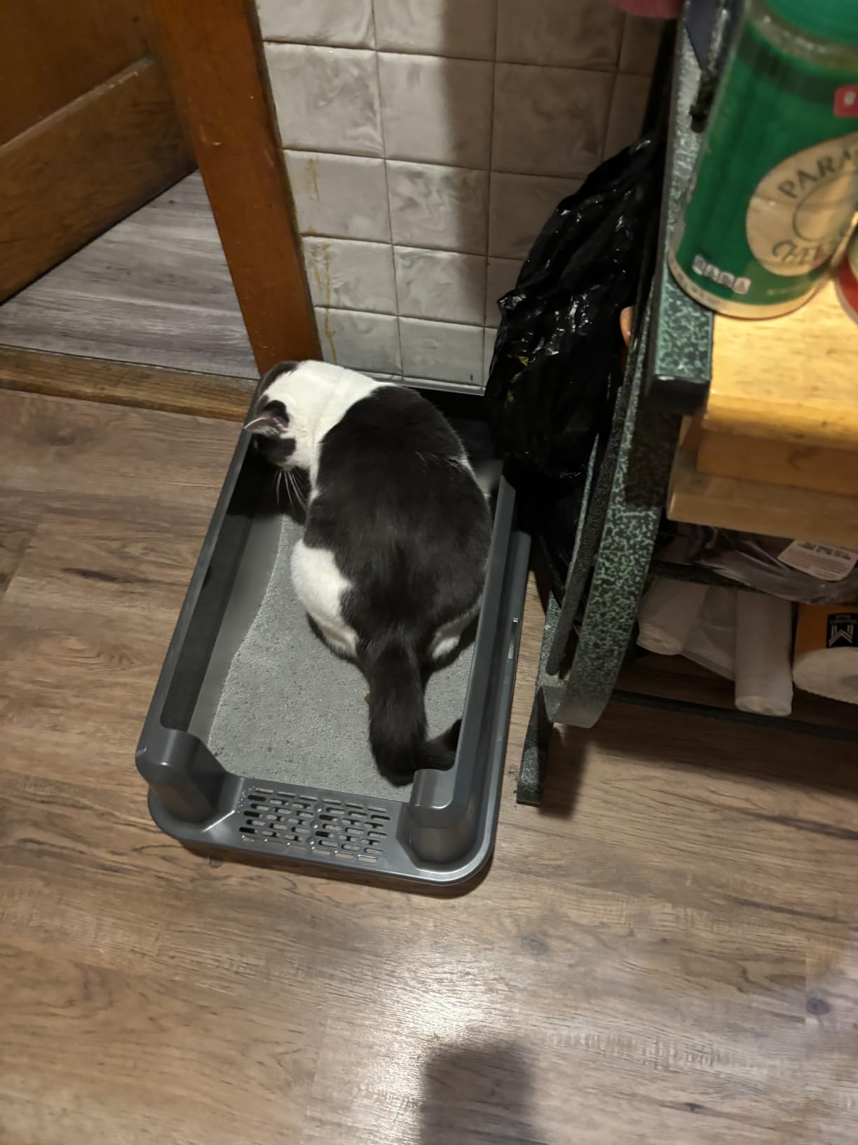 Stainless Steel Cat Litter Box, XL High Sided Open Top Litter Pan, 1 Scoop customer photo 1