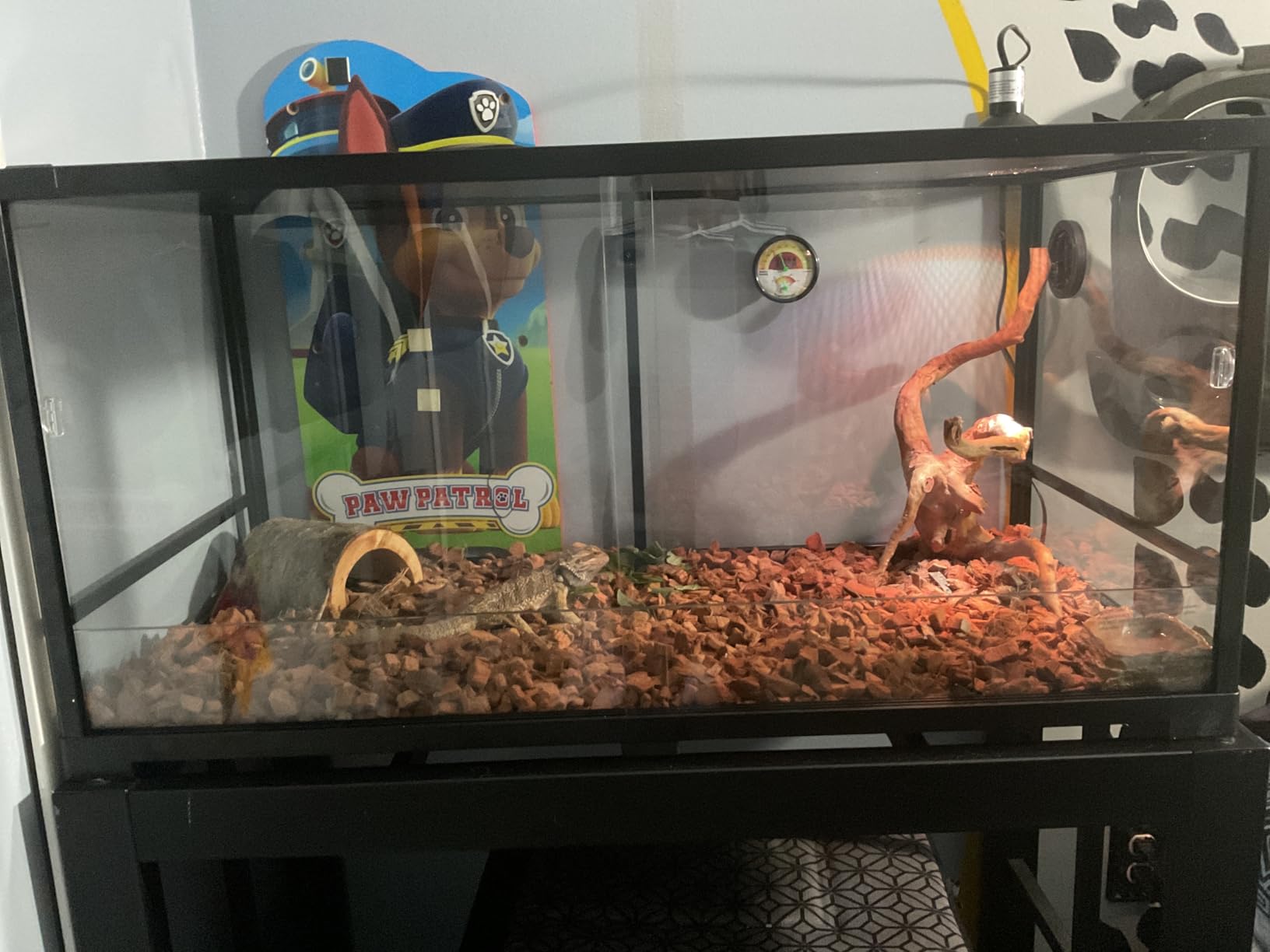 Double Stacked Reptile Tank, 24