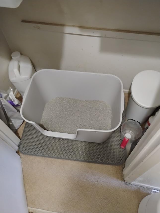 Extra Large Litter Box with High Sides 24.60