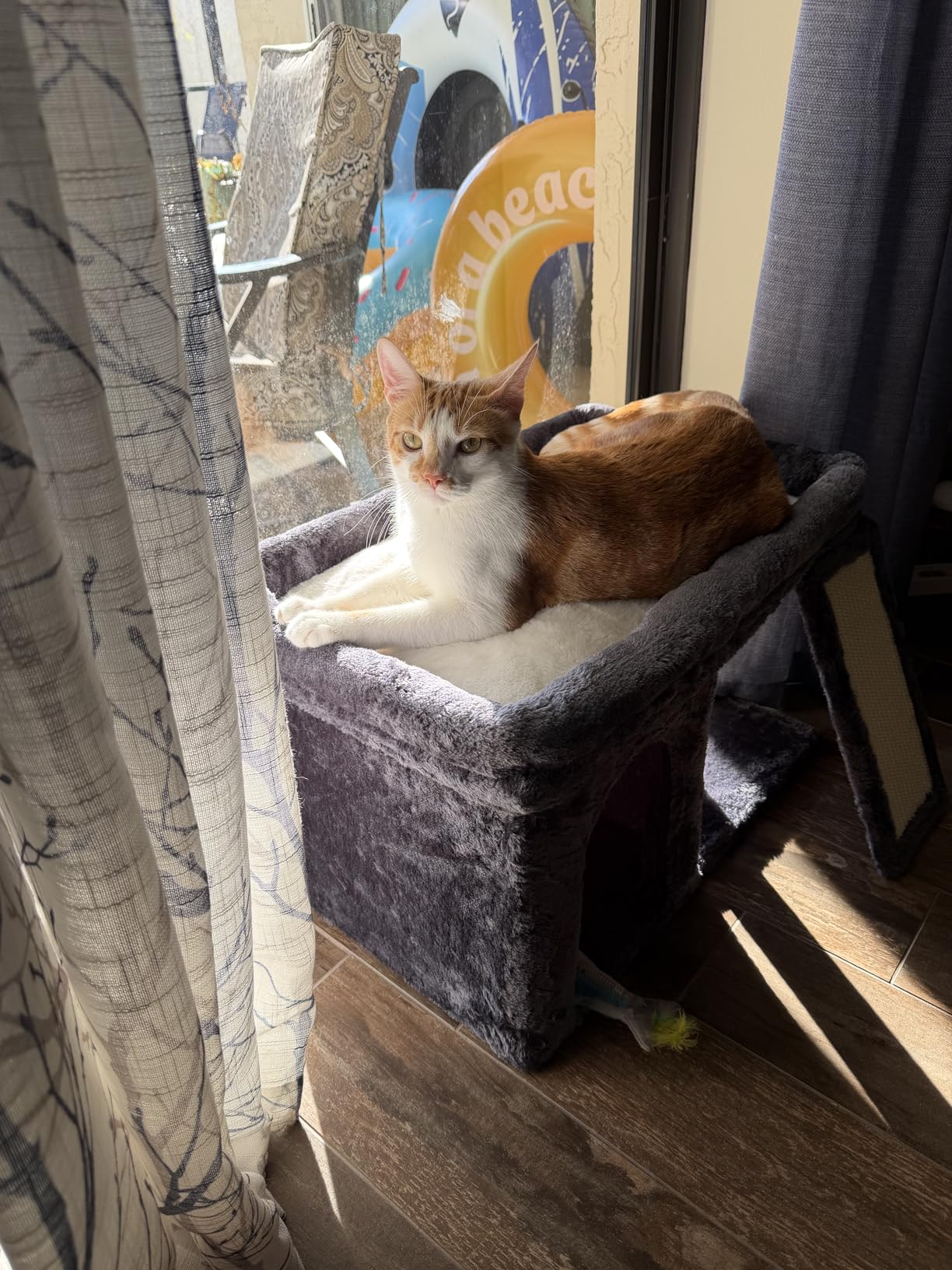 Aechonow Cat Tree for Large Cats, 20x16.5 Perch Bed for Adult Senior Cats customer photo 1