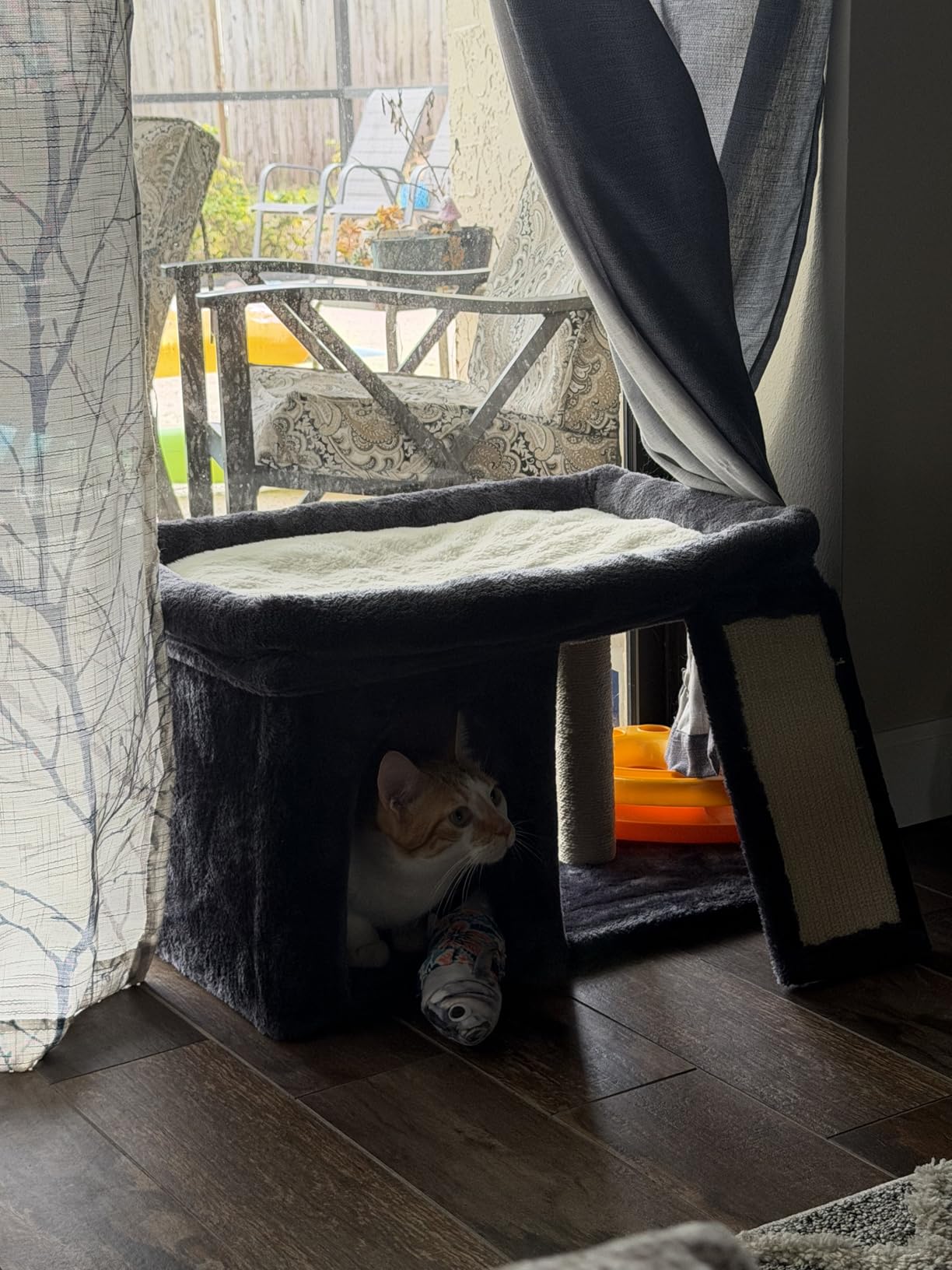 Aechonow Cat Tree for Large Cats, 20x16.5 Perch Bed for Adult Senior Cats customer photo 2