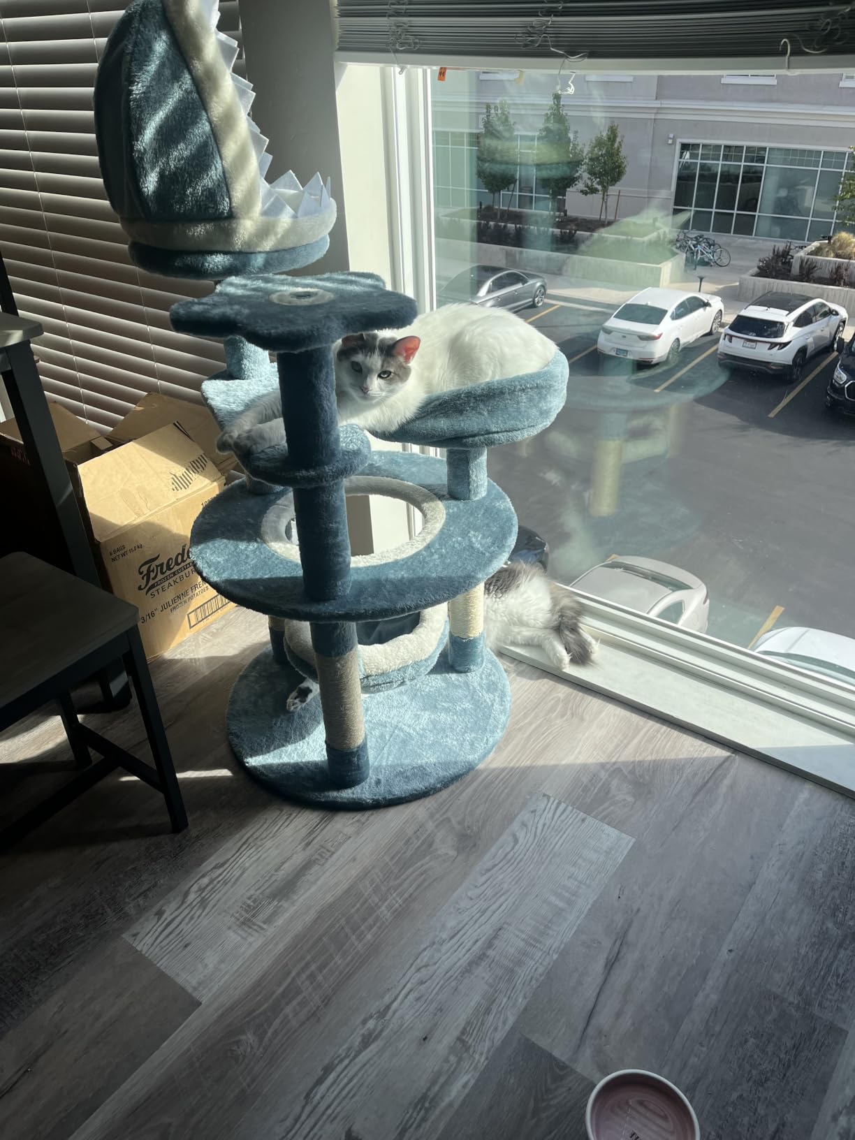 Yaheetech Cute Shark Cat Tree for Kittens, Multi-Level Small Blue Tower customer photo 1