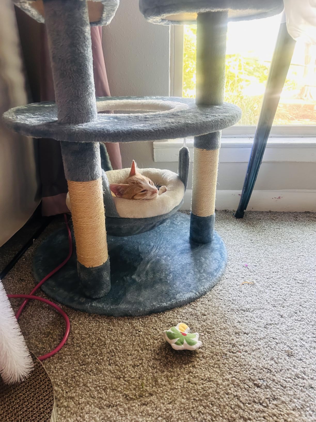 Yaheetech Cute Shark Cat Tree for Kittens, Multi-Level Small Blue Tower customer photo 2