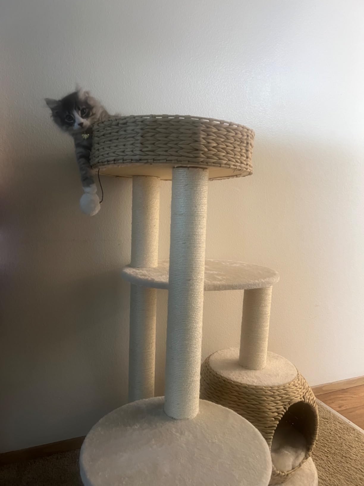 KAMABOKO Modern Cat Tree, Hand-Woven Condo & Top Perch,cat Houses & Condos customer photo 1