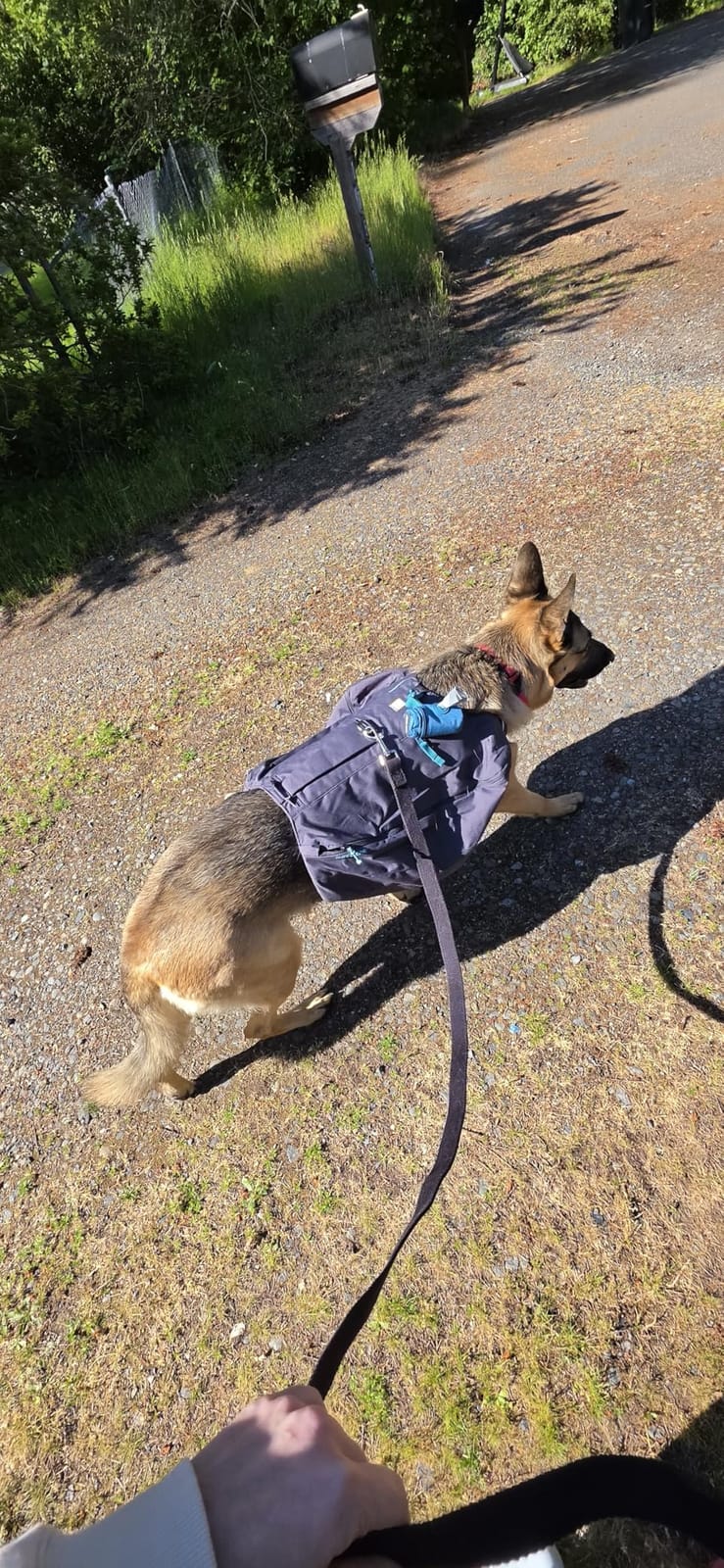Ruffwear, Front Range Day Pack, River Rock Green, Medium customer photo 2