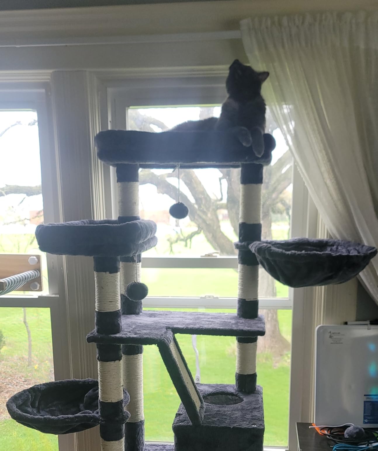 Heybly Cat Tree, 68 inch Multi-Level Cat Tower for Indoor Cats HCT025G customer photo 1