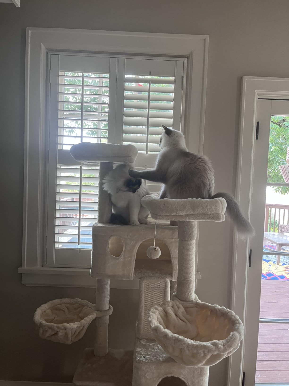 SHA CERLIN 65in Larger Cat Tree Tower Condo for Indoor Kitties/Multi-Level Furniture Activity Center with Wide Base/Cozy Plush Cat Perches/Baskets/Sisal Scratching Posts and Hammock/Grey customer photo 2
