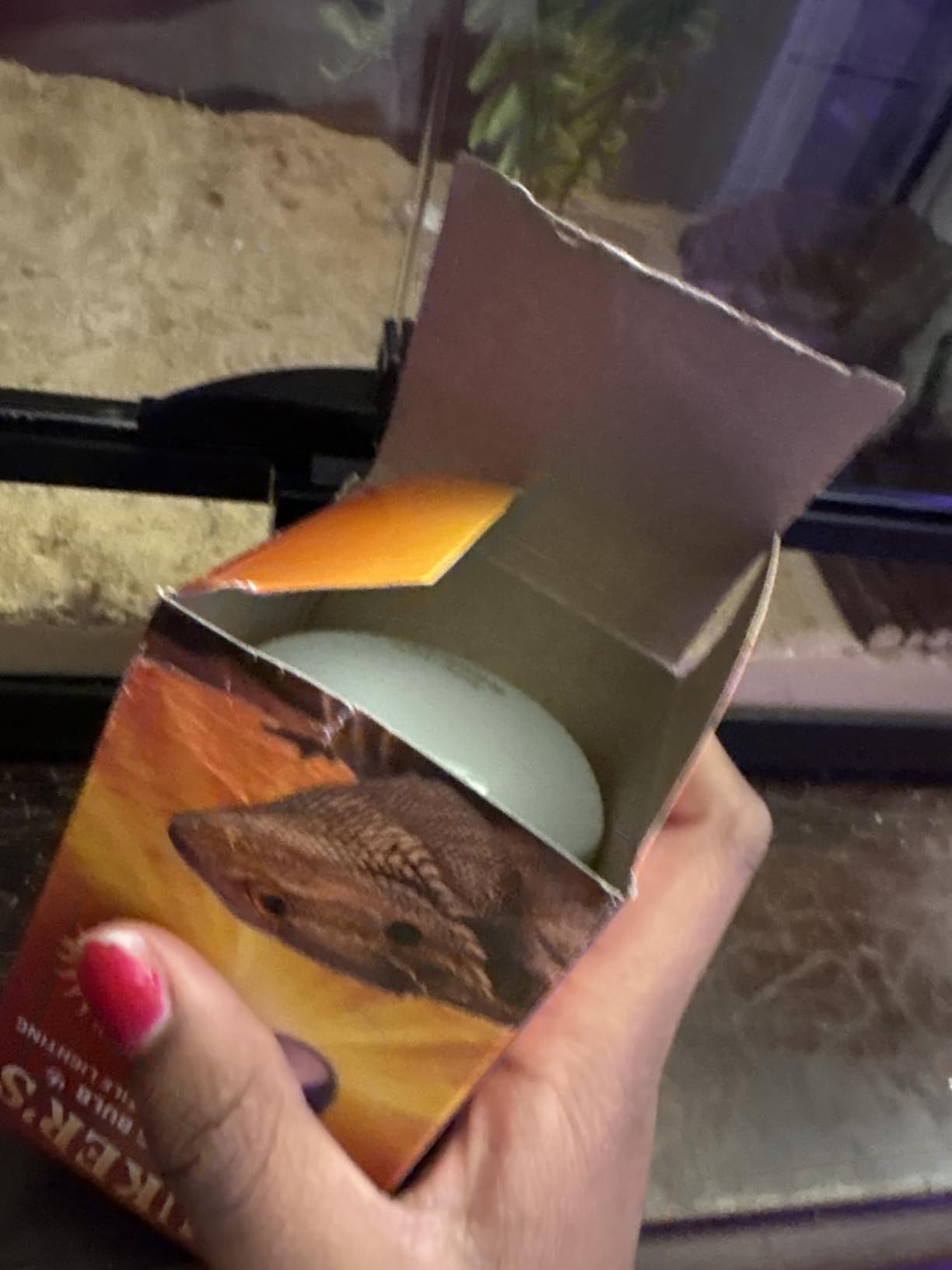UVB Reptile Light, 10.0 24W, UVA UVB Reptile Light Bulb Lamp for Bearded Dragon, UVB Bulbs for Desert Reptiles customer photo 2