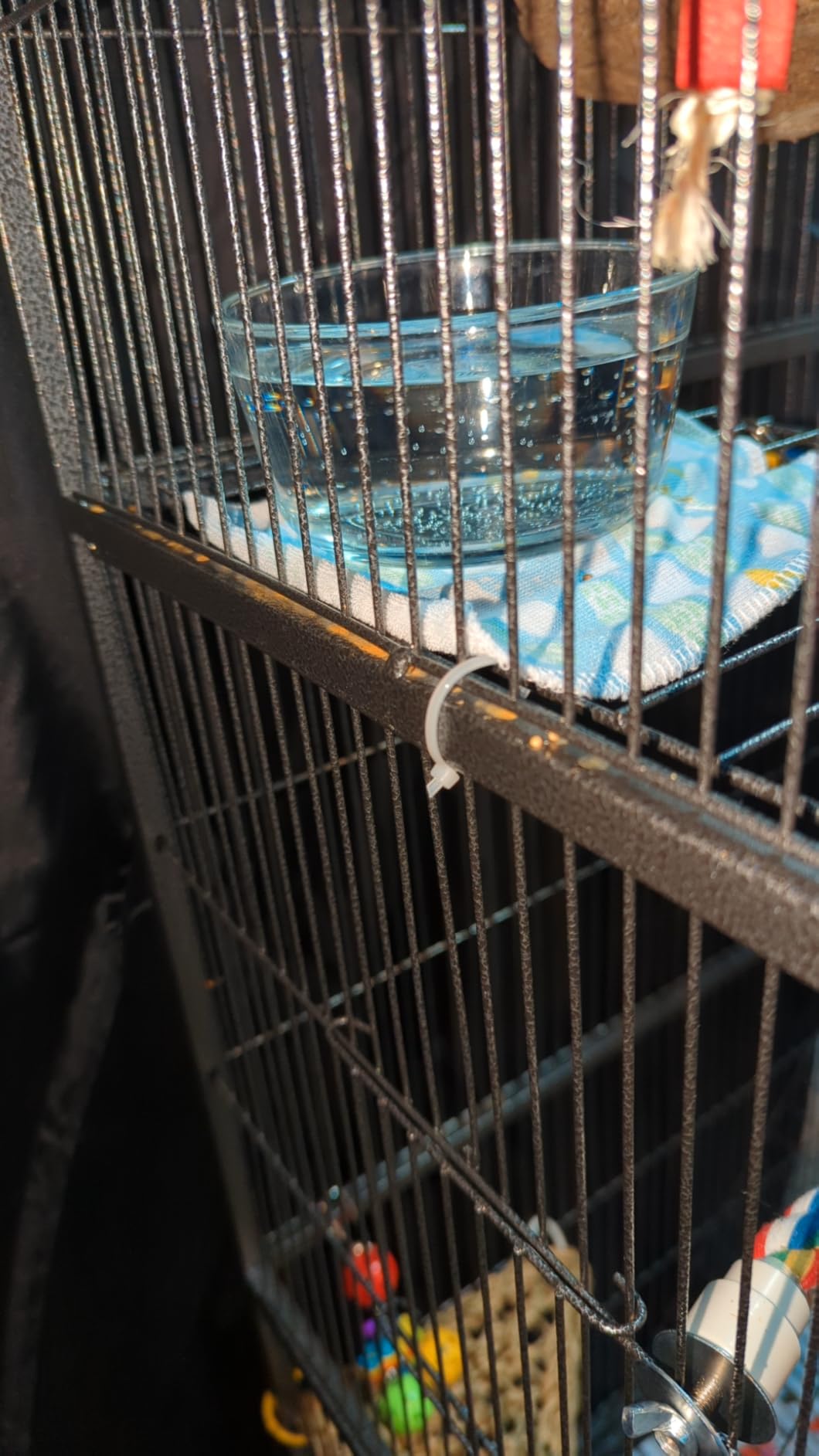 Panana 69inch Height Large Bird Cages Parrot Cage Wide Flight Metal Animal Cage for Budgie Parakeet Conure with Rolling Stand Wheels (Black) customer photo 1