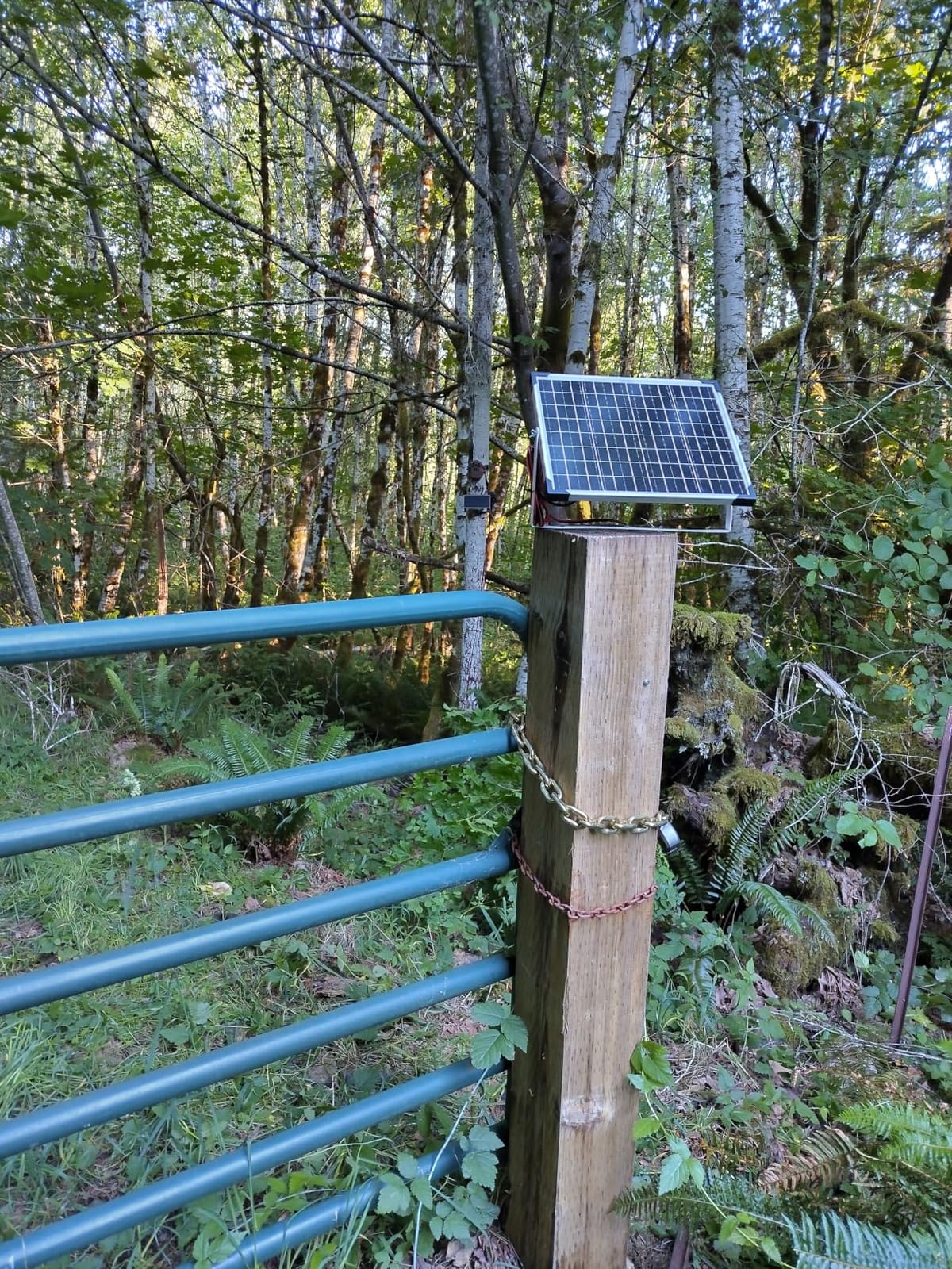 Voltset 200W 12V Solar Panel 25% High Efficiency 9BB Cell Monocrystalline customer photo 2
