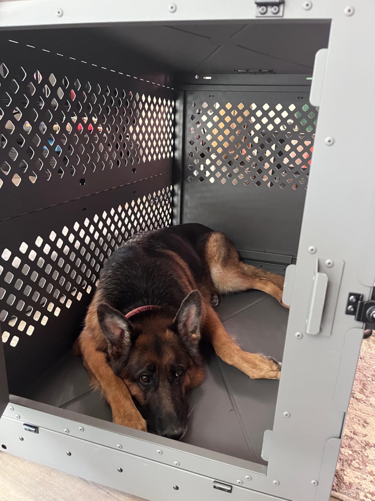 Impact Collapsible Dog Crate - Heavy Duty Travel Aluminum Kennel, Gray 30