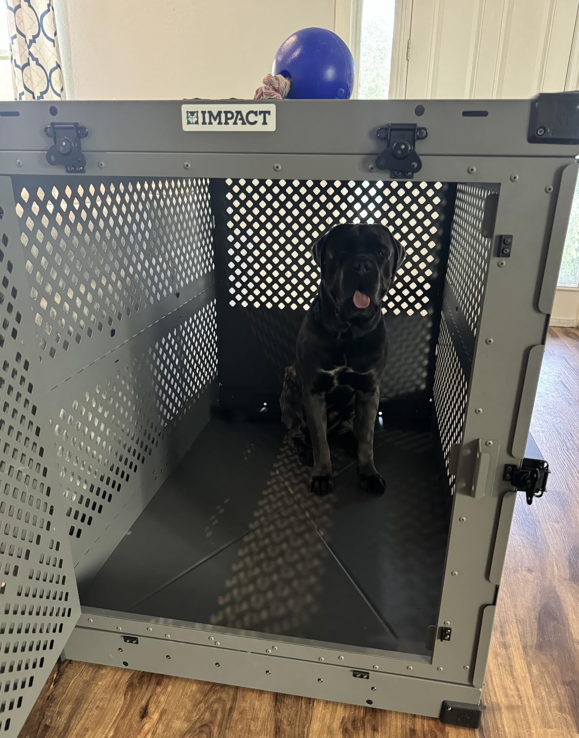 Impact Collapsible Dog Crate - Heavy Duty Travel Aluminum Kennel, Gray 30