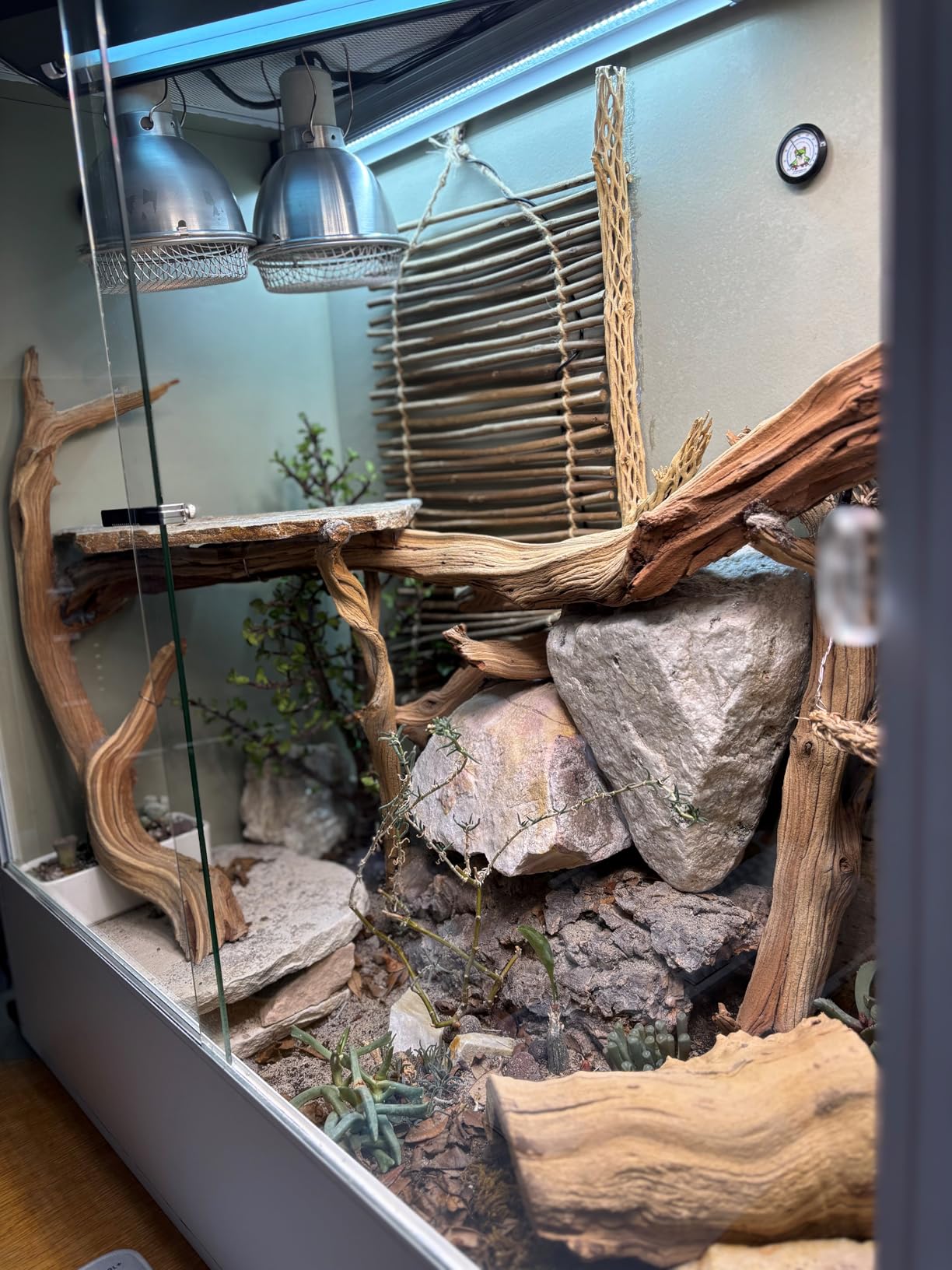 REPTI ZOO 30 Gallon PVC Tall Reptile Tank, 18x18x24 Reptile Terrarium for Frog Lizard Gecko Chameleon Snake, Tropical Rainforest Habitat Enclosure with Sliding Door & Top Screen Ventilation customer photo 1