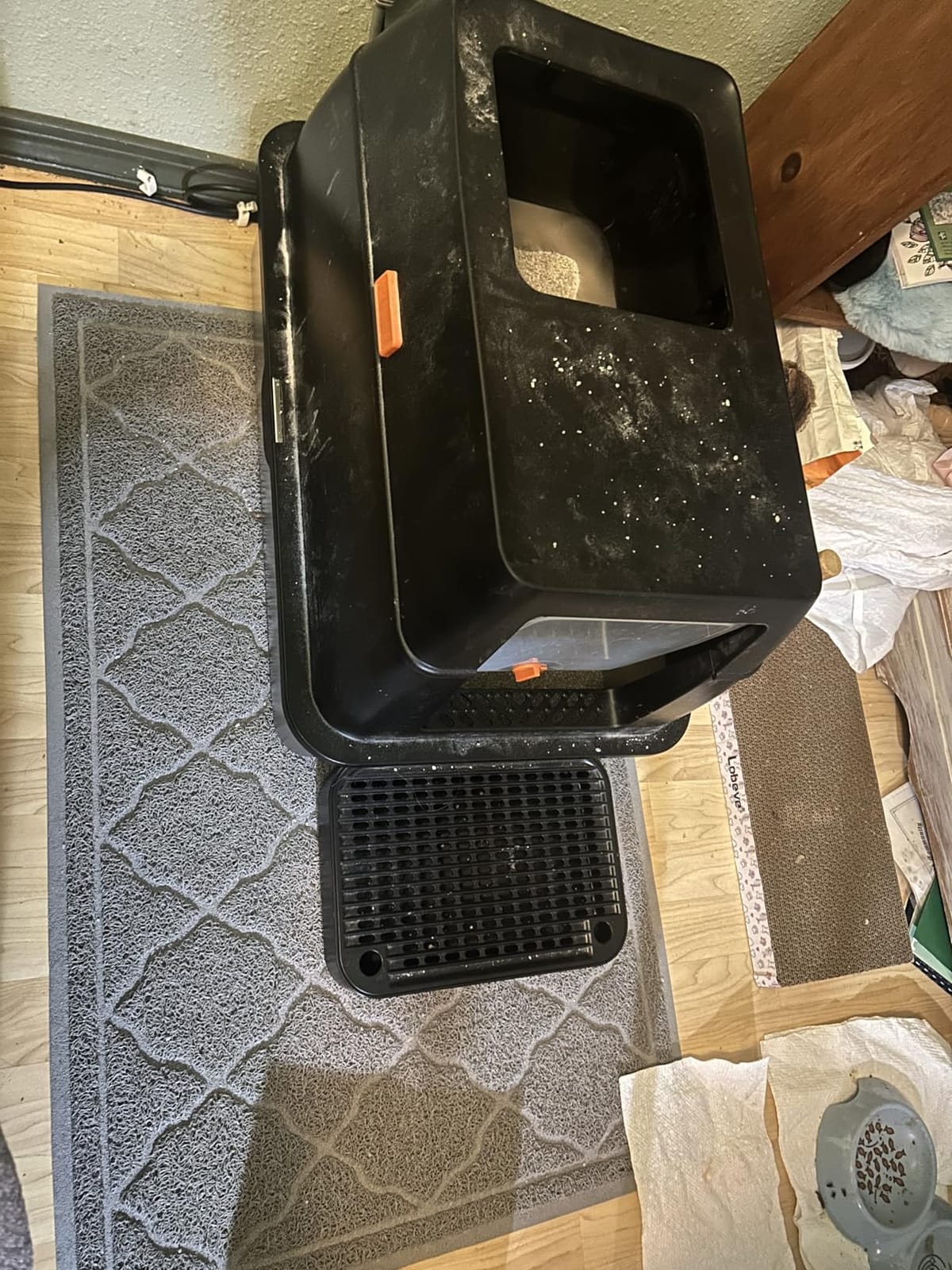Lobeve Extra Large Stainless Steel Litter Box with Lid, Easy-Clean Pan customer photo 1