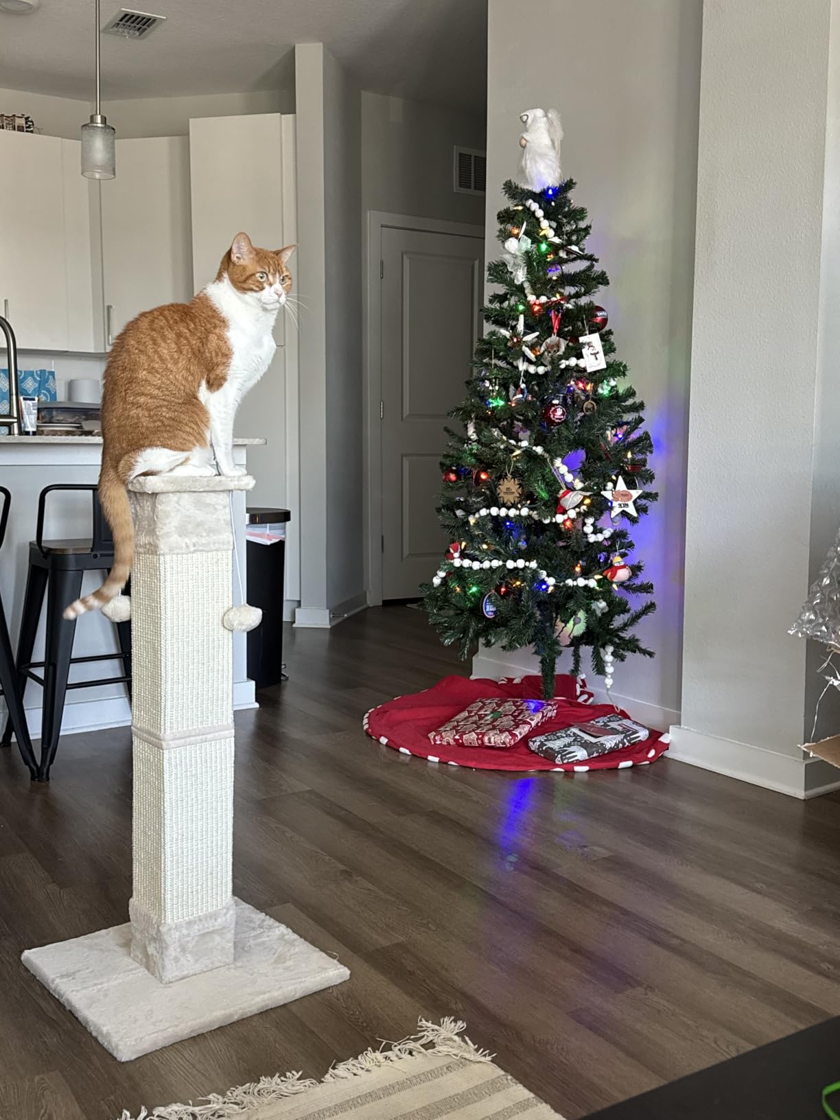 Cat Scratching Post 33 Inch Nature Sisal Scratch Post for Indoor Cats, Large Cat Scratcher Protect Your Furniture, for All Breeds Grey customer photo 1