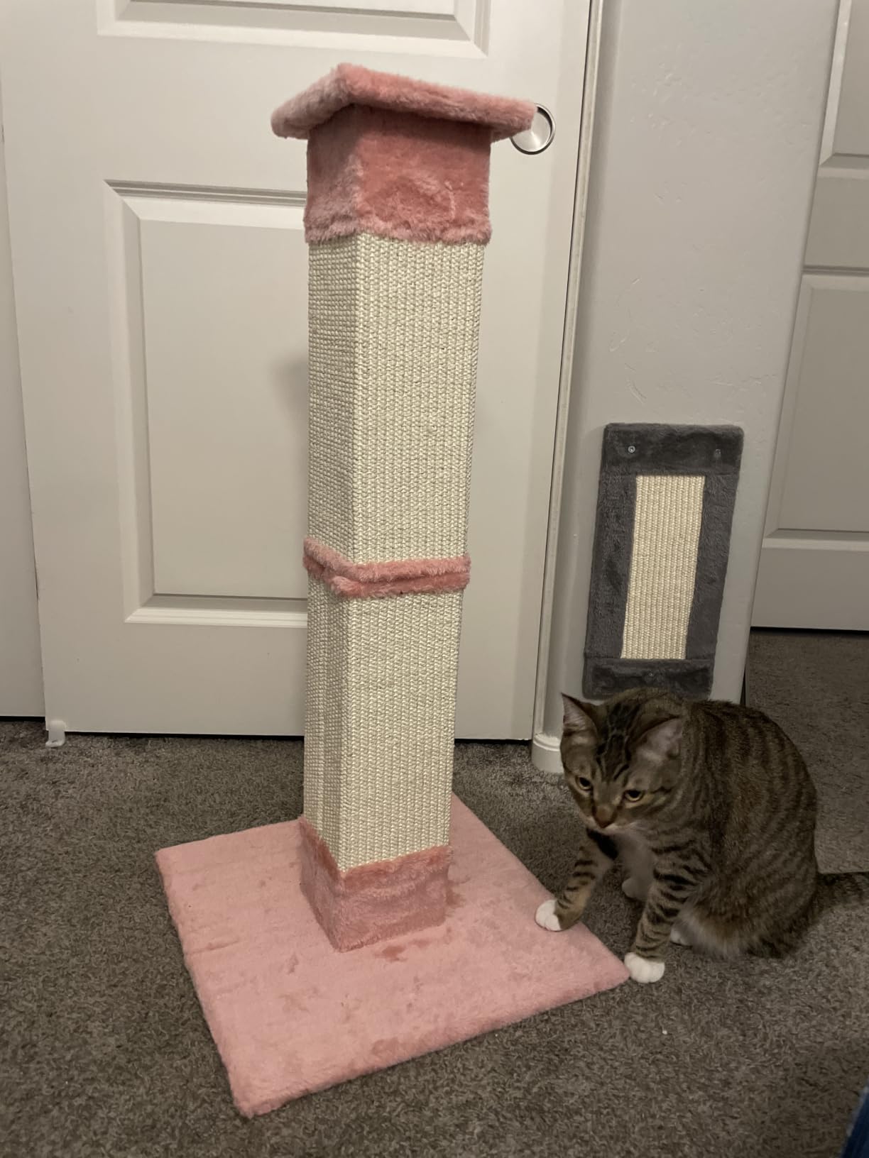 Cat Scratching Post 33 Inch Nature Sisal Scratch Post for Indoor Cats, Large Cat Scratcher Protect Your Furniture, for All Breeds Grey customer photo 2