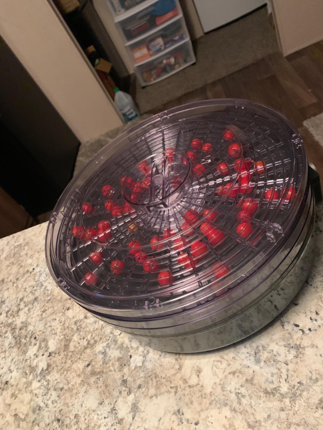 Nutrichef Food Dehydrator Machine | Multi-Tier Appliance for Home Use | Perfect for Beef Jerky, Fruits, Vegetables & Dog Treats | High-Heat Circulation | 5 Stackable Trays customer photo 2