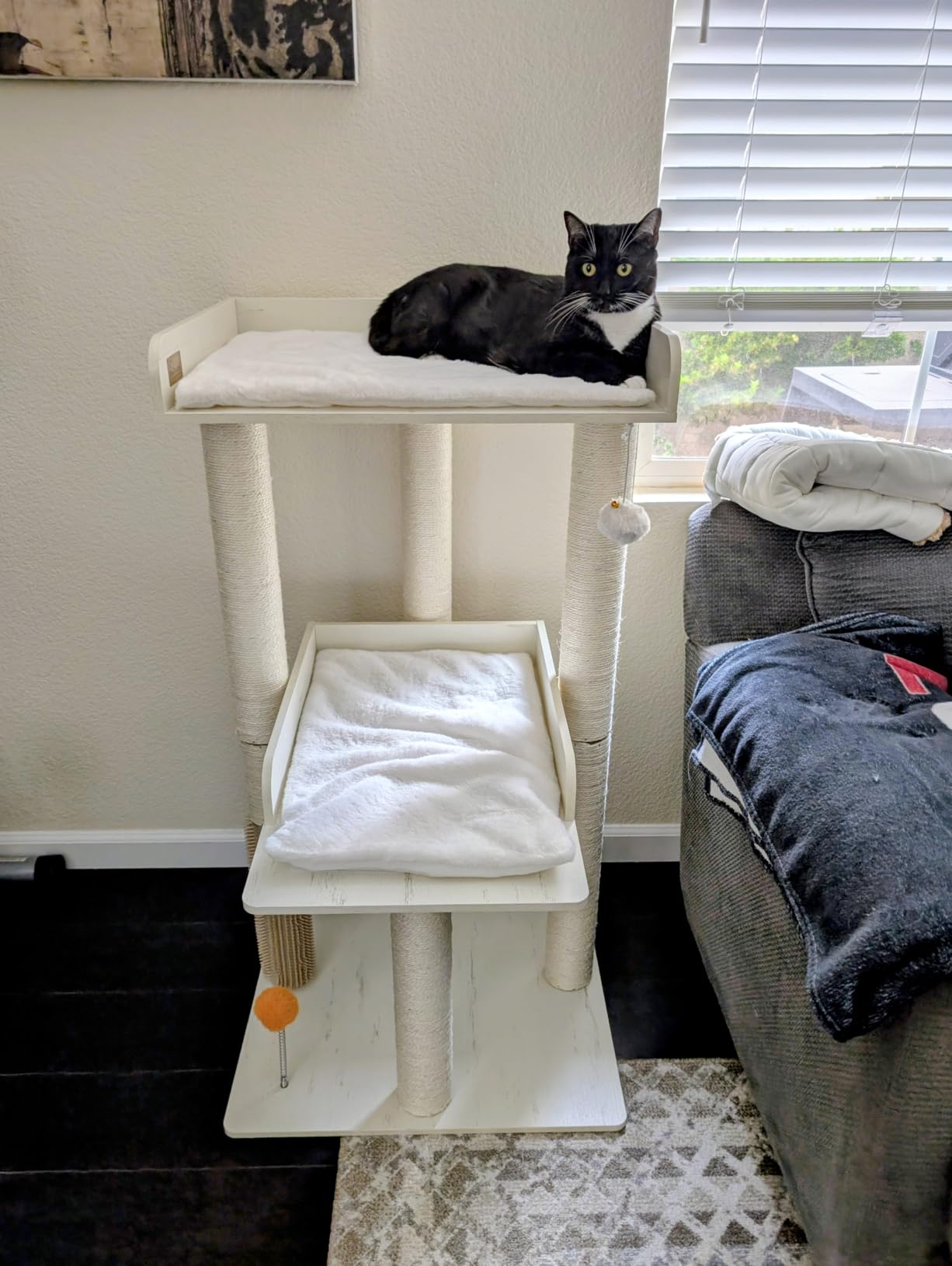 FourFurPets 43.7