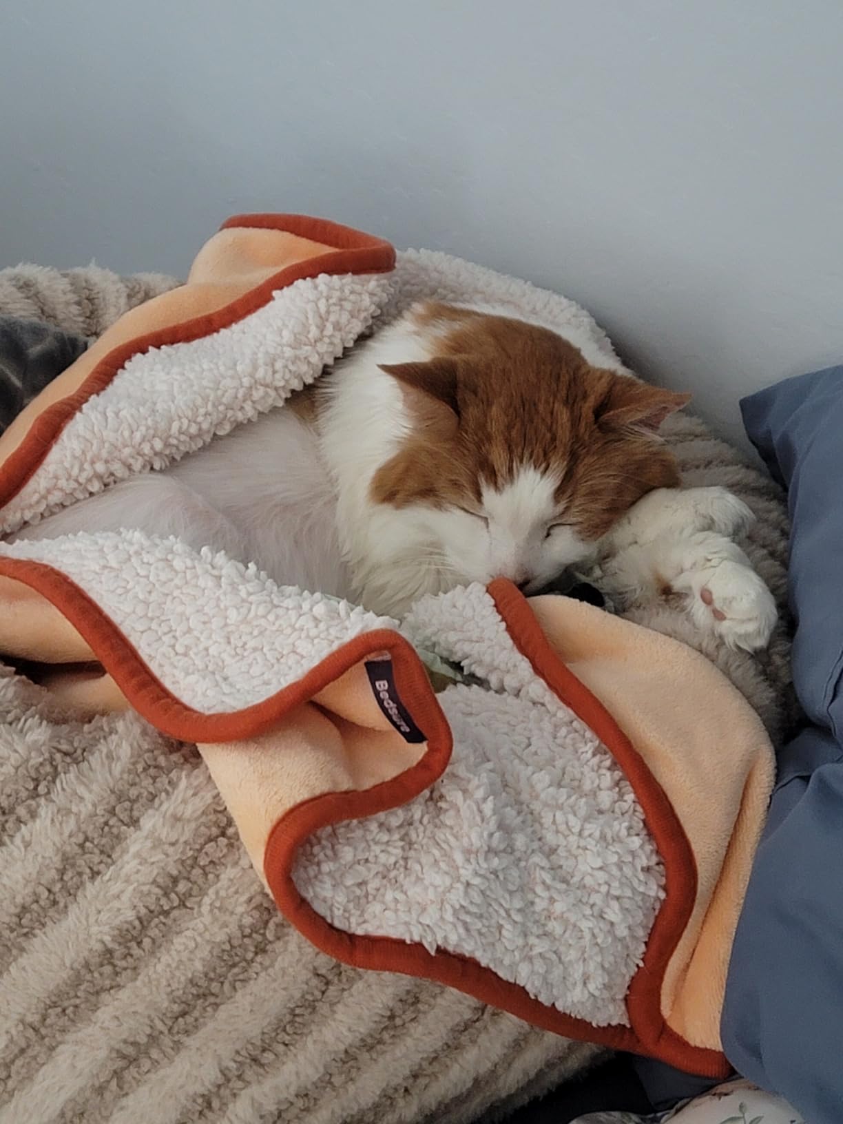GASUR Extra Large Heated Cat Bed for Large Dogs, Waterproof Cat Heating Pad with Timer Temperature Adjustable, Indoor Electric Pet Heated Pad for Cats Dogs, Anti-bite Dog Heated Pad, 47''x28'', XLarge customer photo 1
