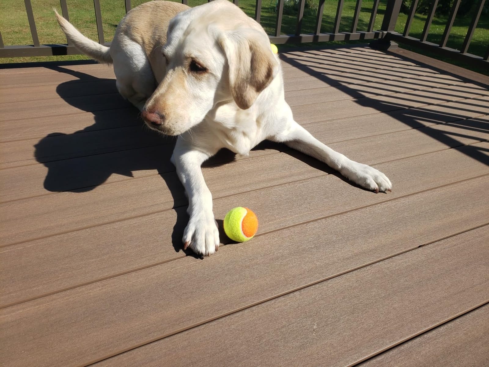 Magicorange Tennis Balls, 20 Pack Low Compression Stage Tennis Ball customer photo 2